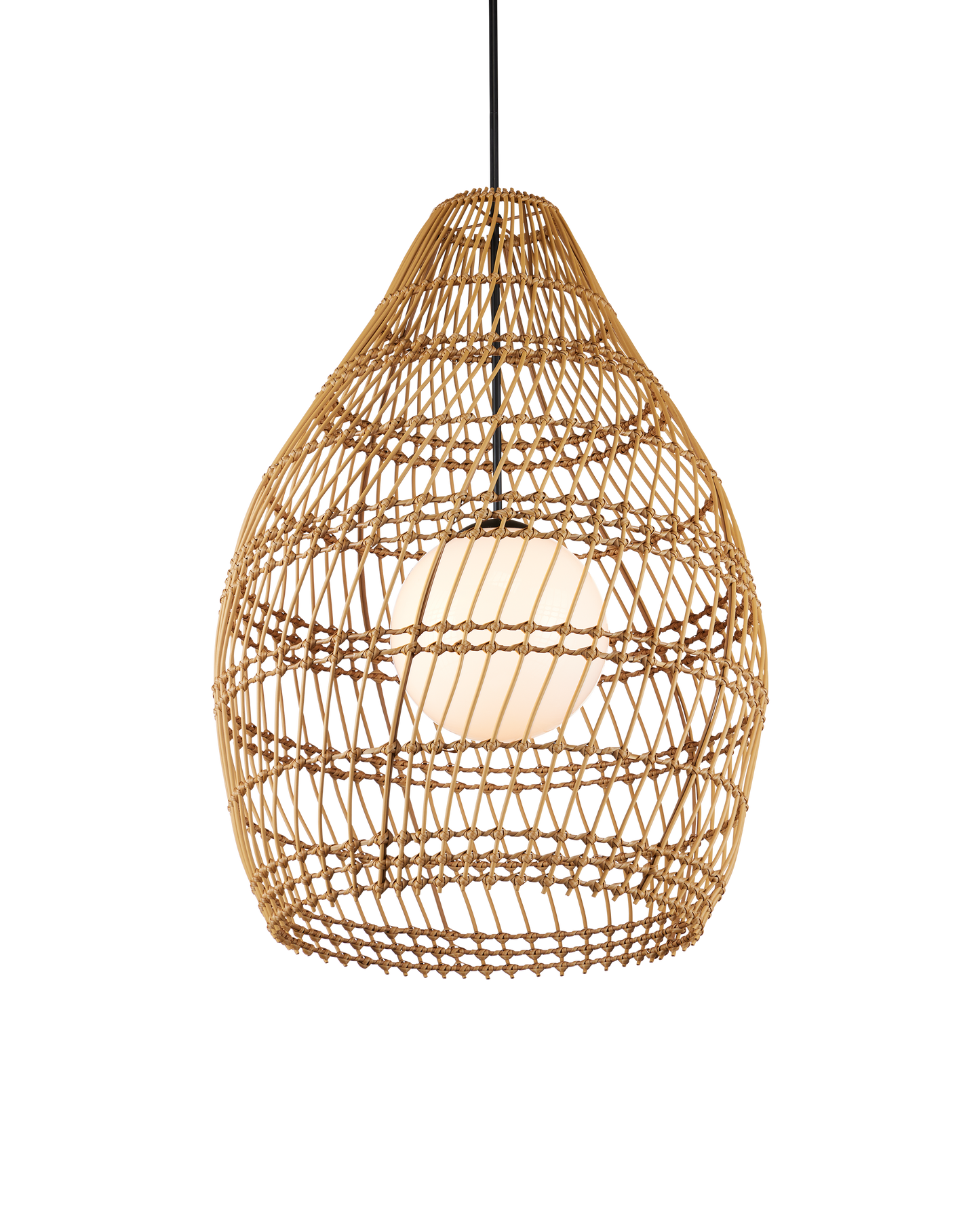 Fishtrap Outdoor Pendant.