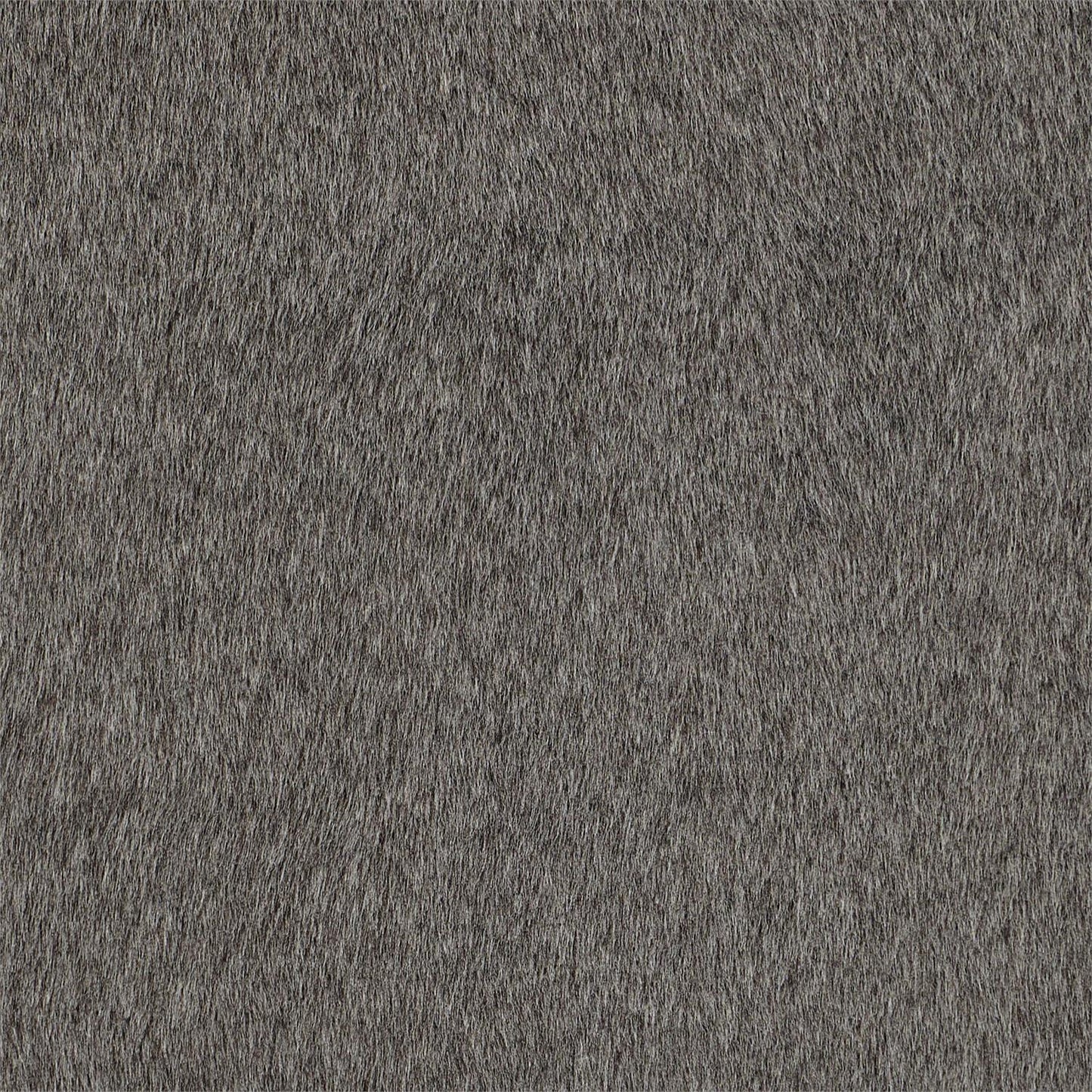 CHAIR FABRIC4