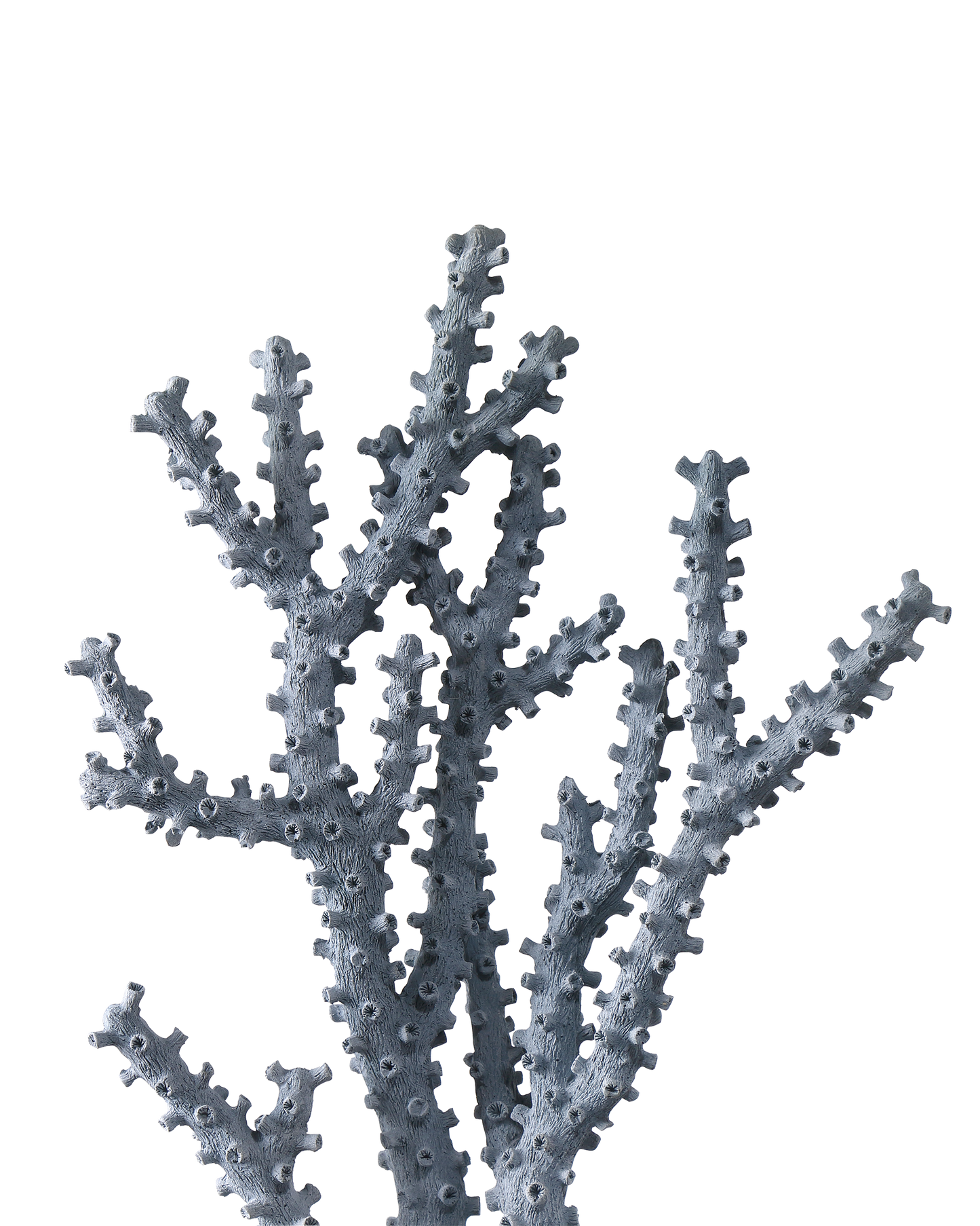 Blue Coral Set of 2.