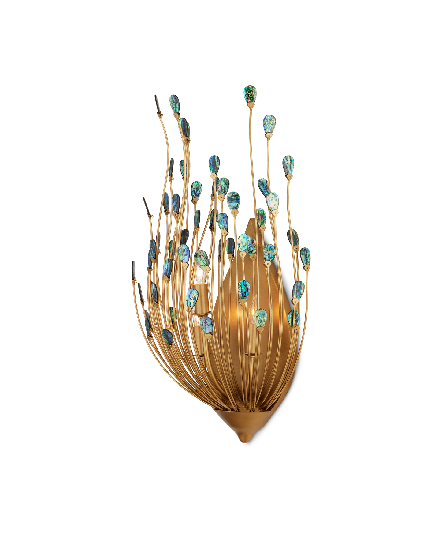 Delphos Wall Sconce.