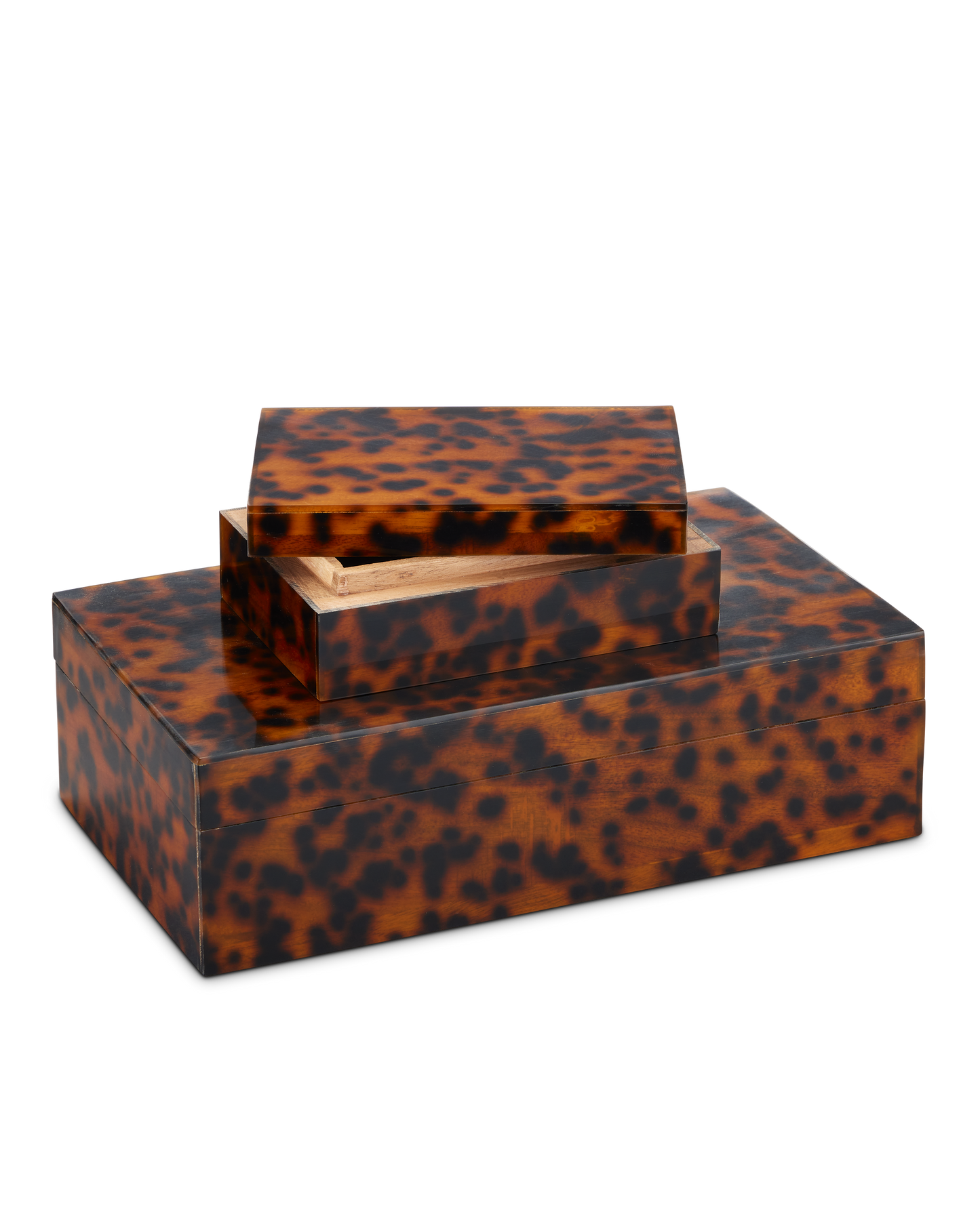 Faux Tortoise Box Set of 2.