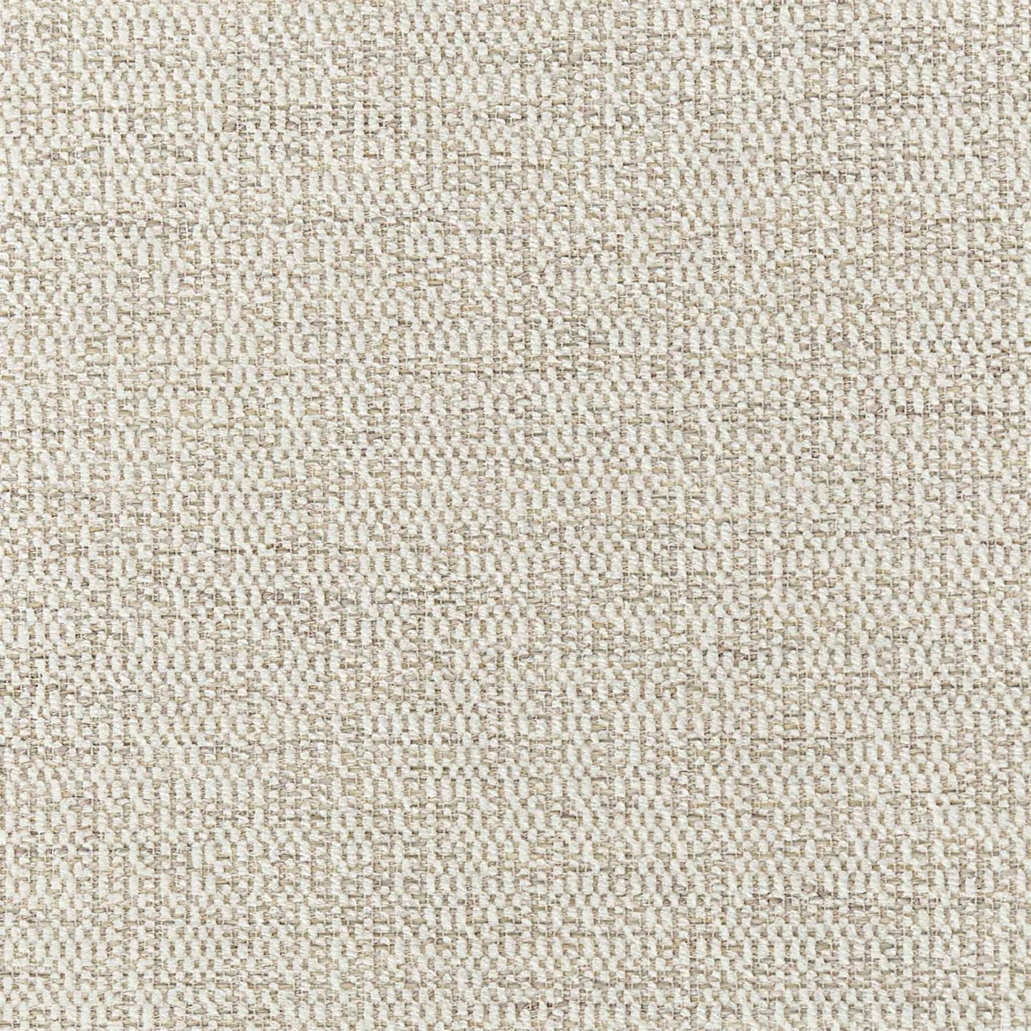 CHAIR FABRIC4