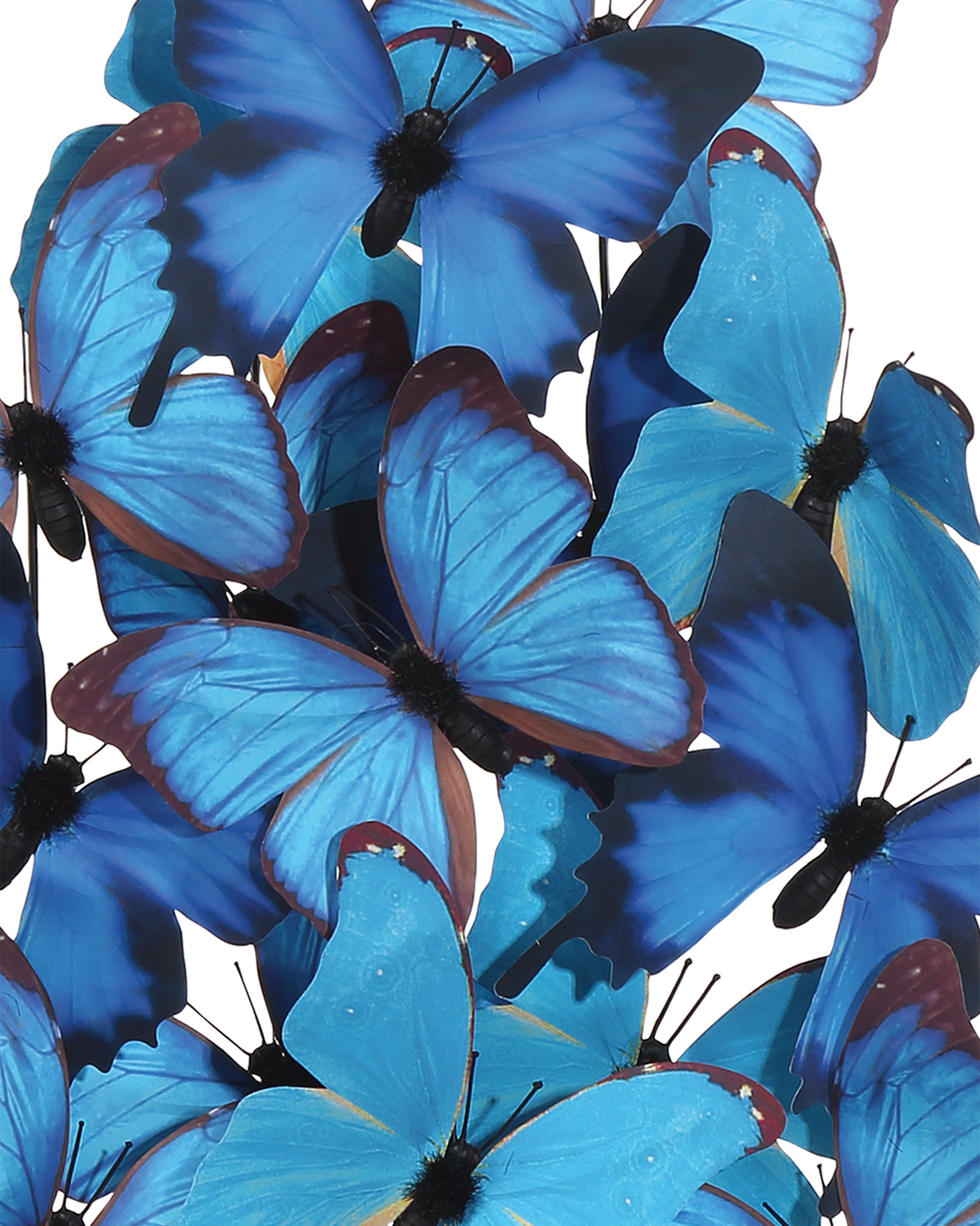 Rue de Bac Blue Large Butterflies.