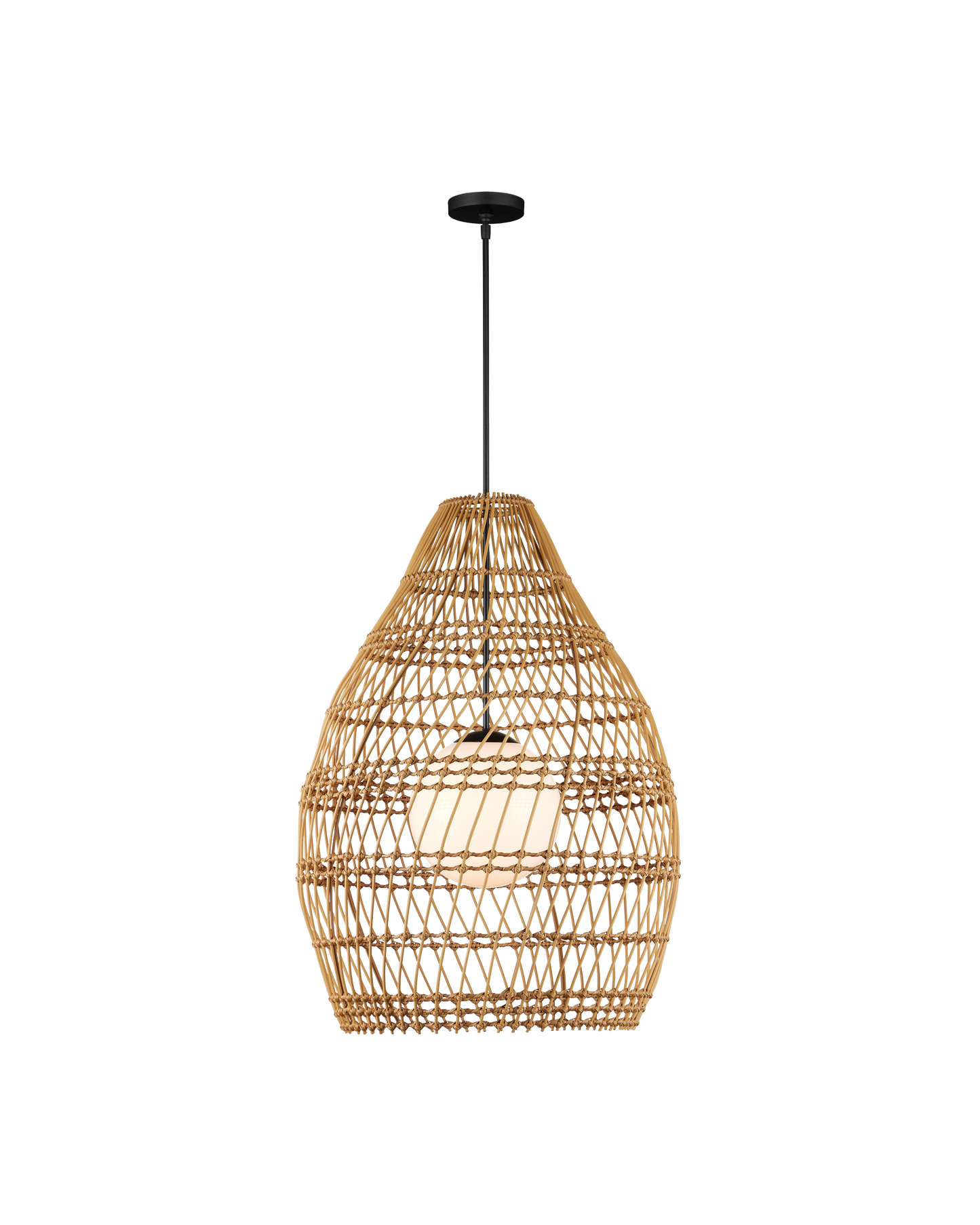 Fishtrap Outdoor Pendant.