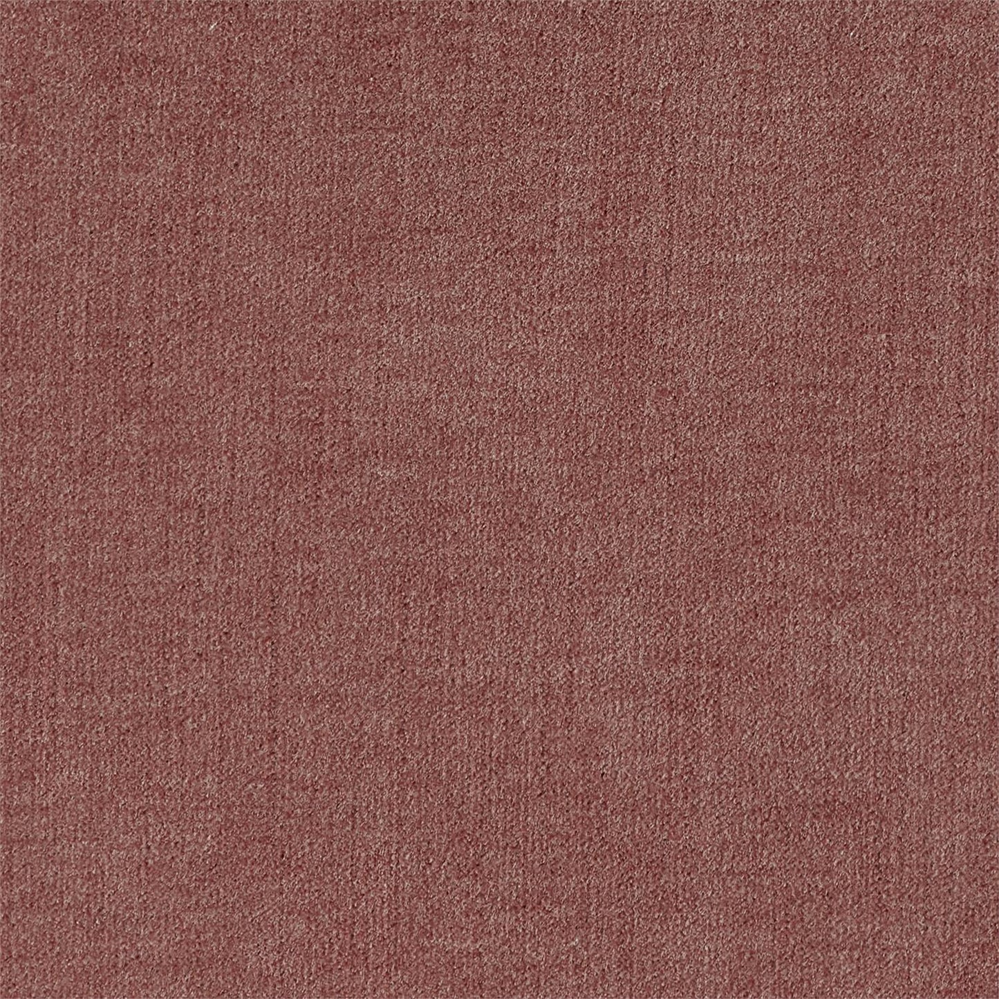 CHAIR FABRIC5