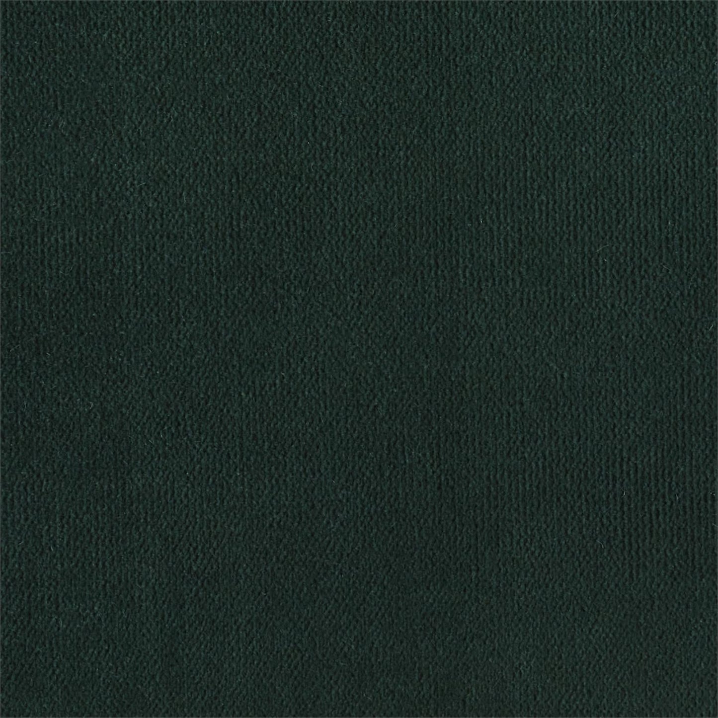 CHAIR FABRIC5