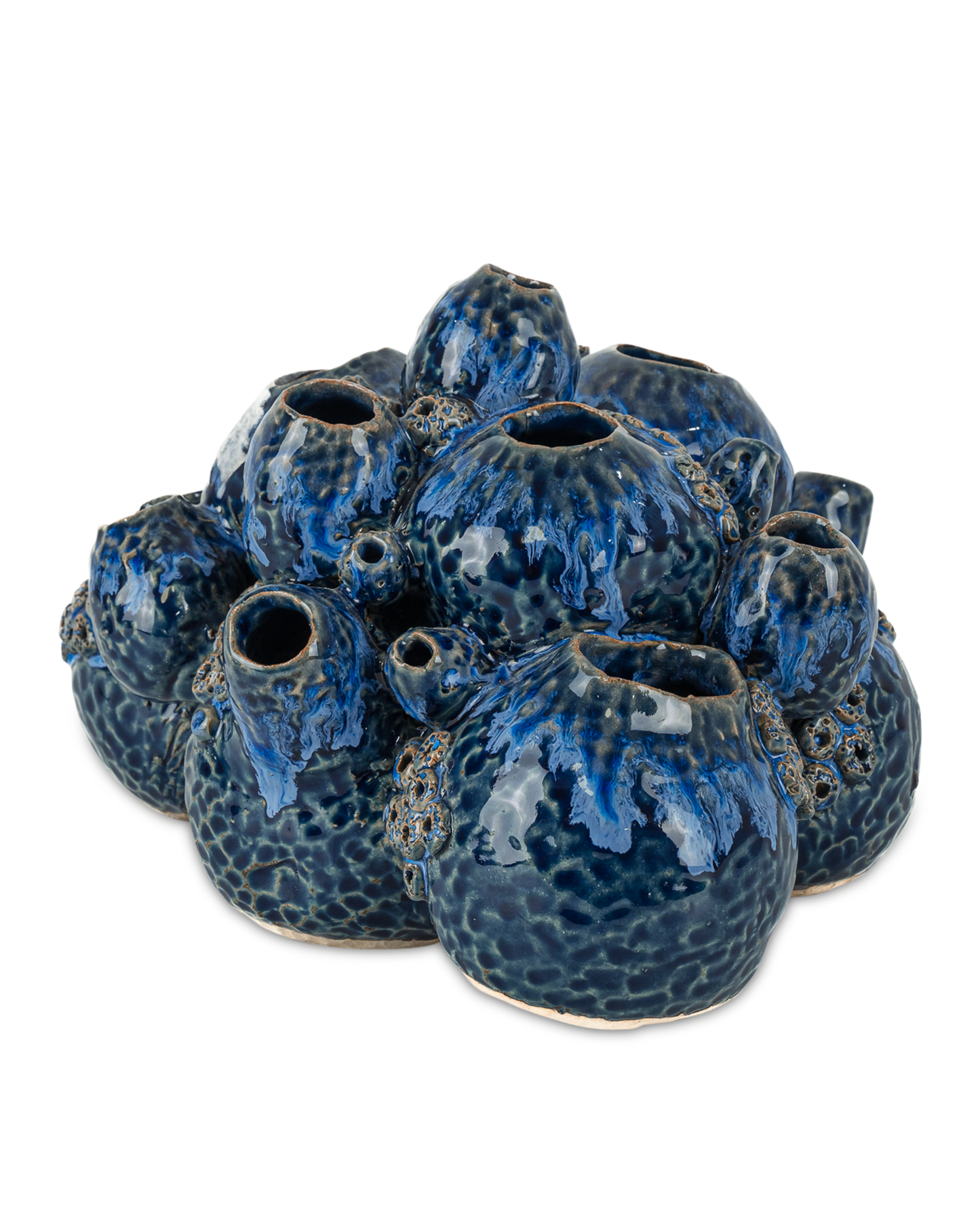 Sulawasi Blue Shells.