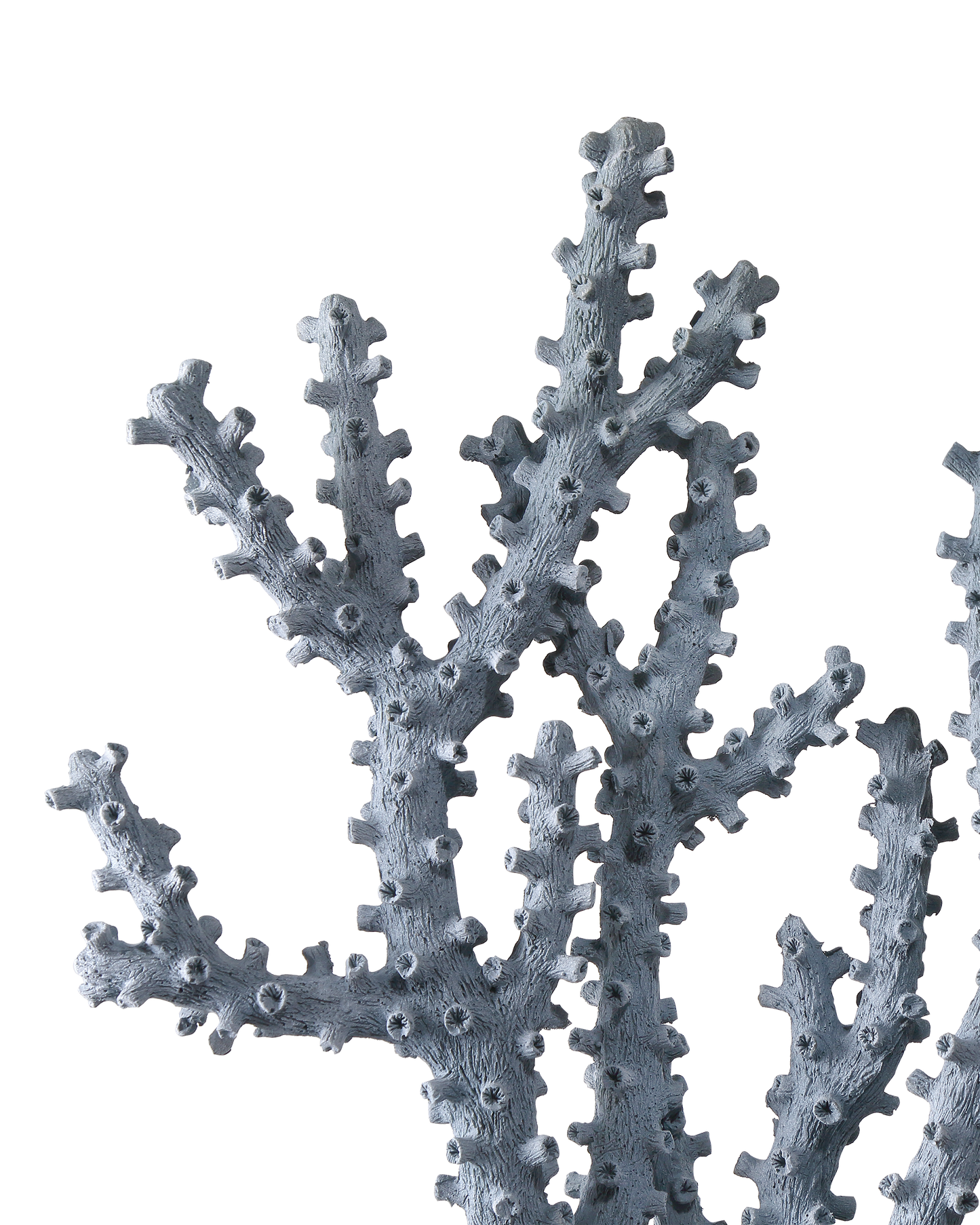 Blue Coral Set of 2.