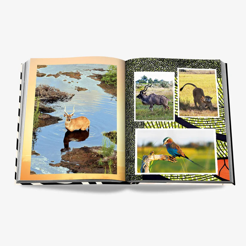 African Adventures Book.