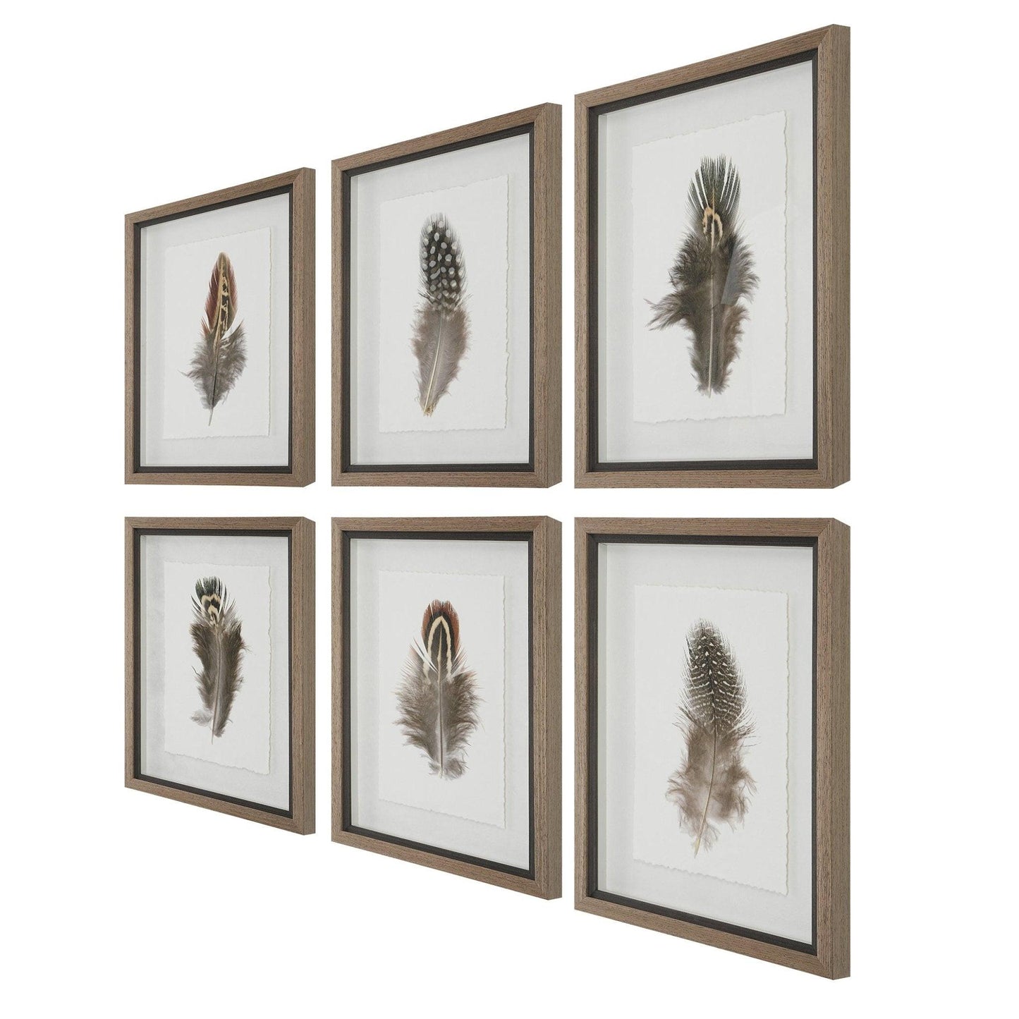 Birds Of A Feather Framed Prints, S/6.