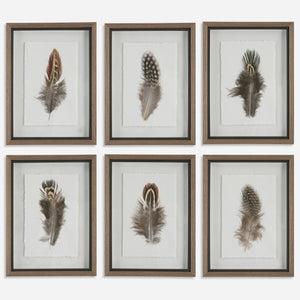 Birds Of A Feather Framed Prints, S/6 - #shop_name Art