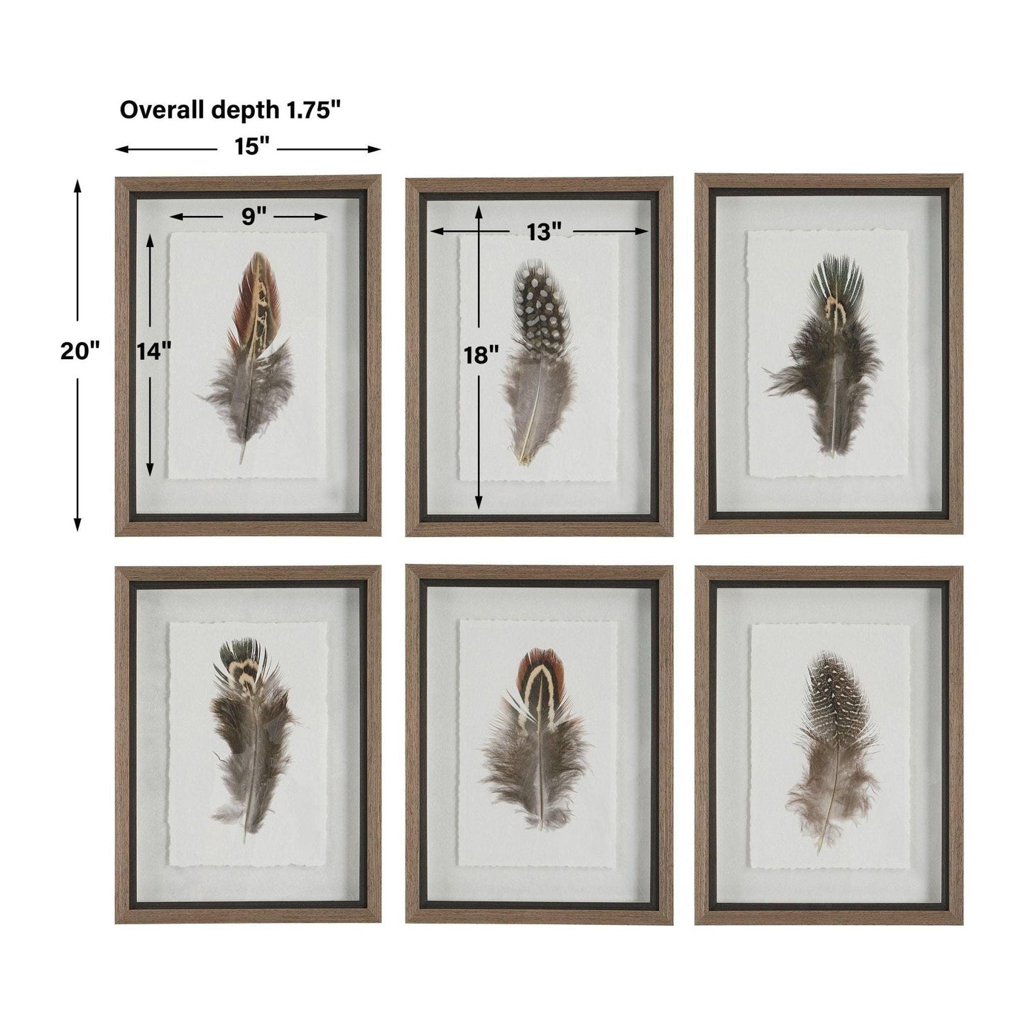 Birds Of A Feather Framed Prints, S/6.