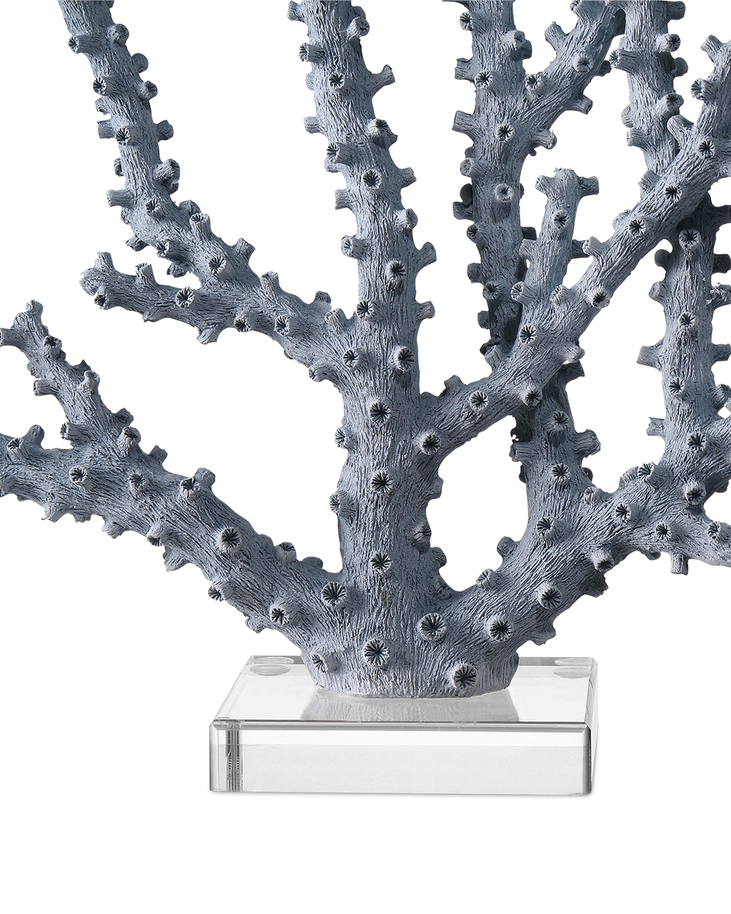 Blue Coral Set of 2.