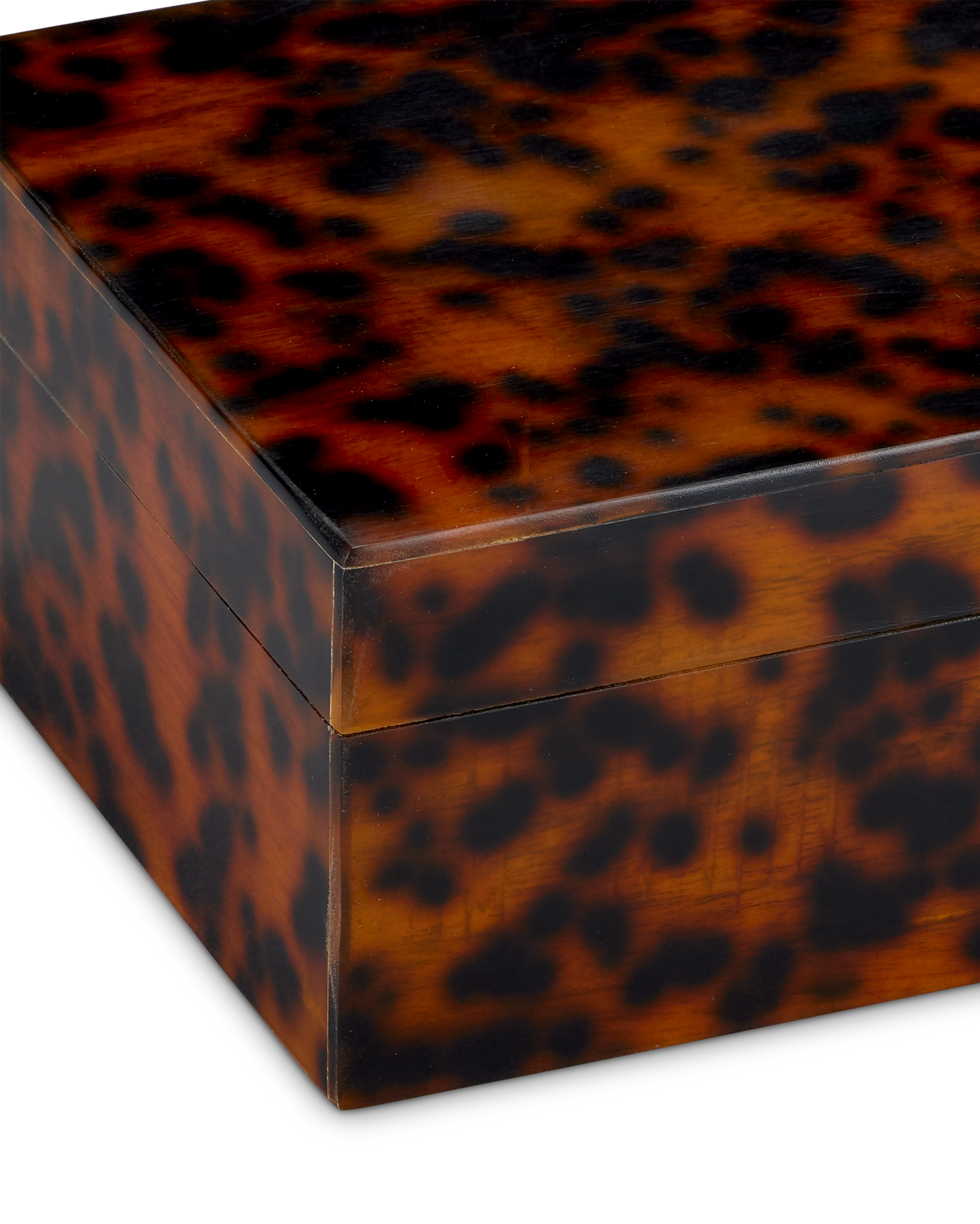 Faux Tortoise Box Set of 2.