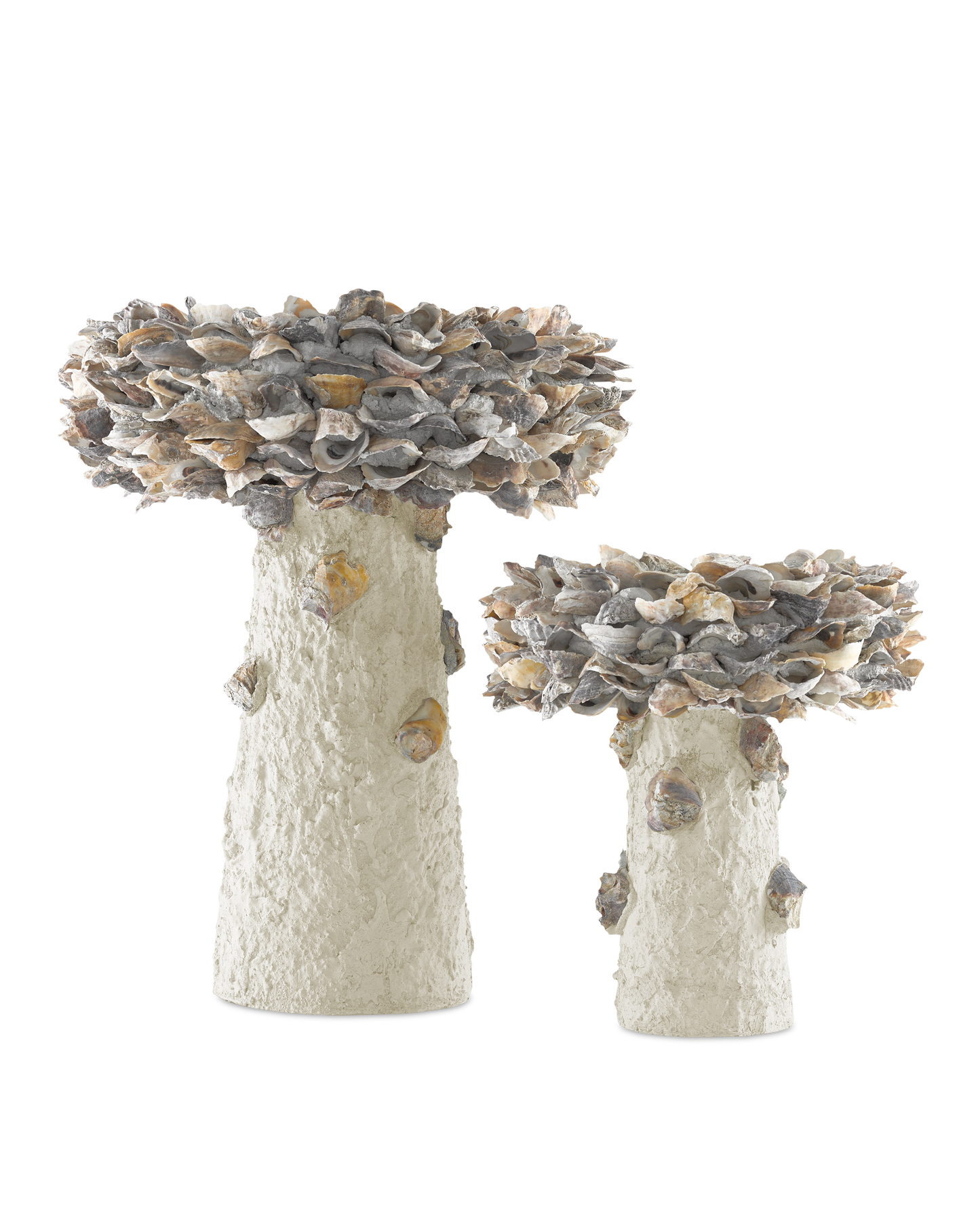 Oyster Shell Medium Bird Bath.