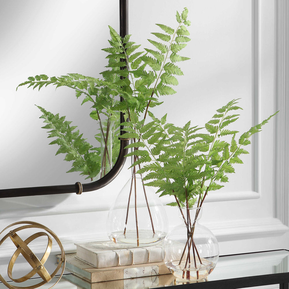 Country Ferns, Set of 2 - #shop_name Accessories, Accent Decor