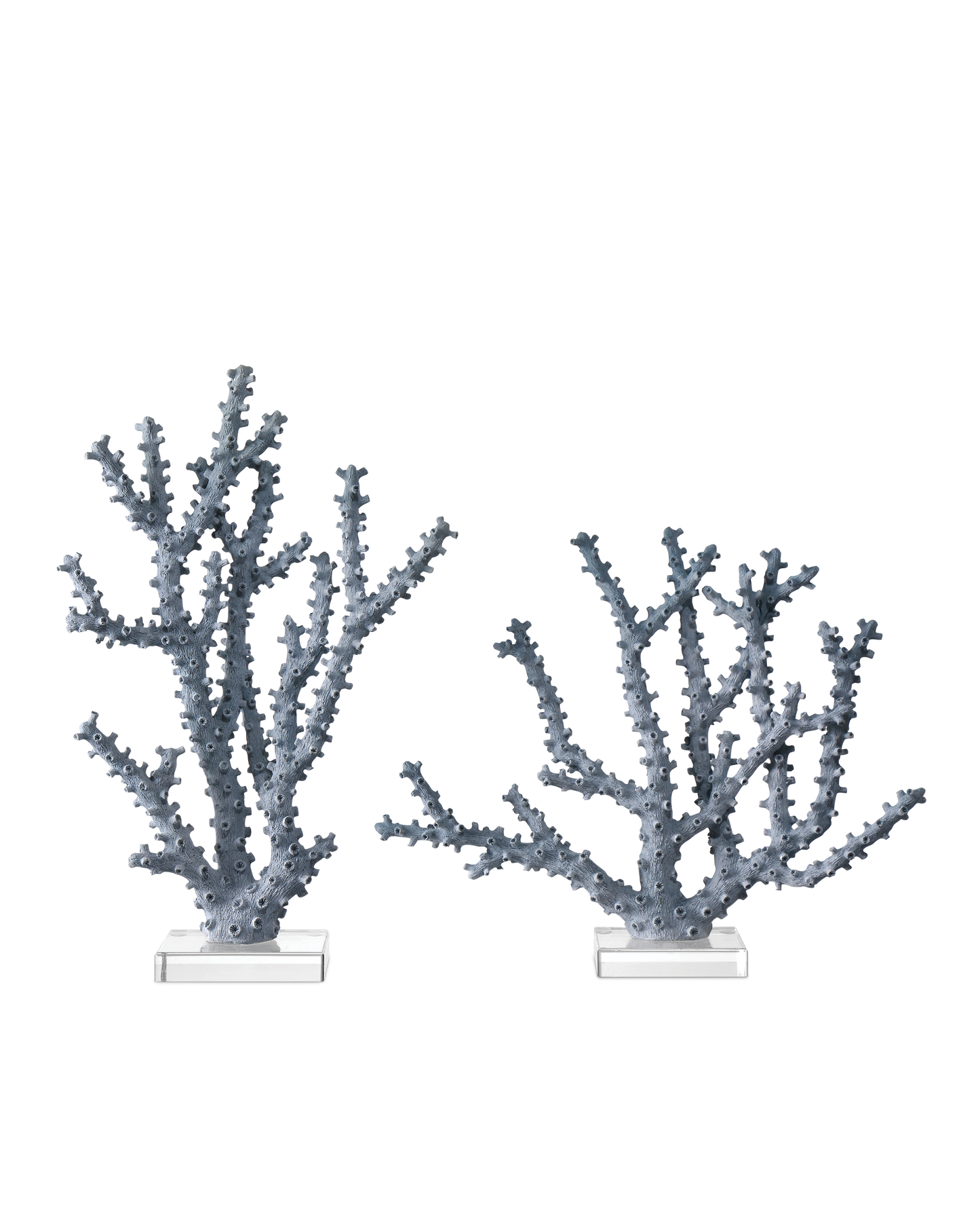 Blue Coral Set of 2.