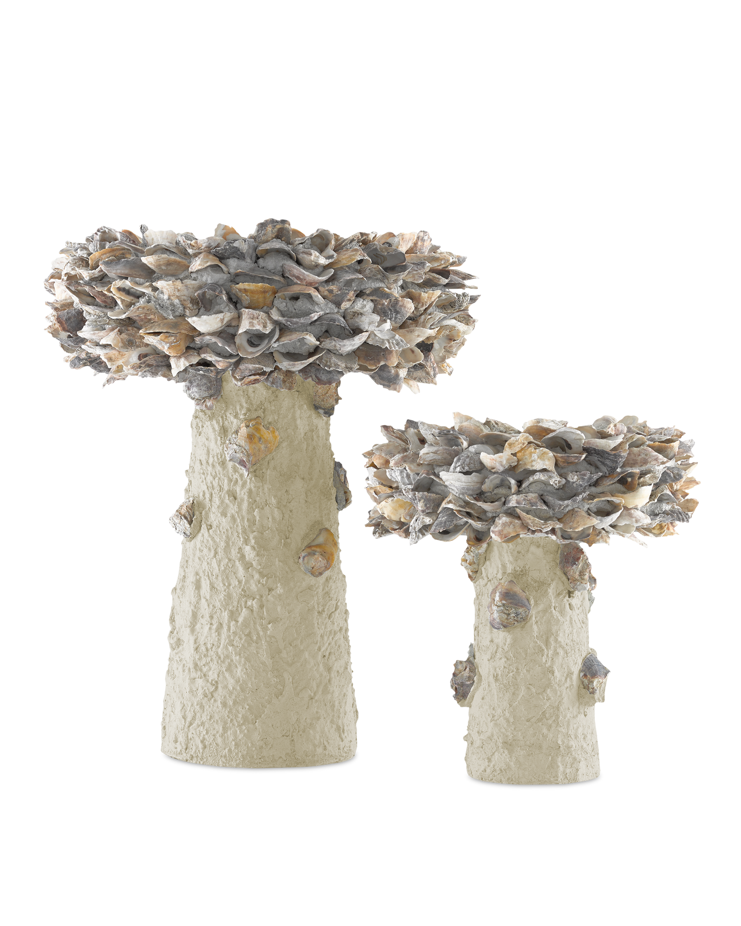 Oyster Shell Small Bird Bath.