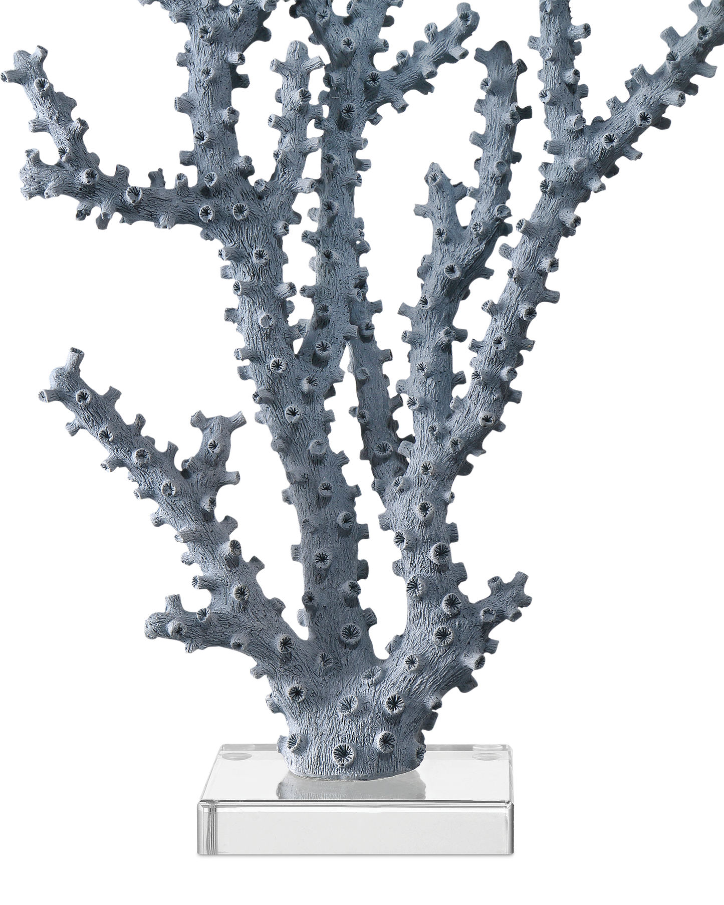 Blue Coral Set of 2.