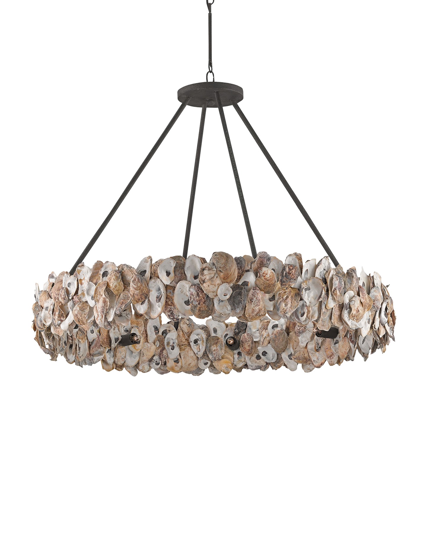 Oyster Shell Chandelier.