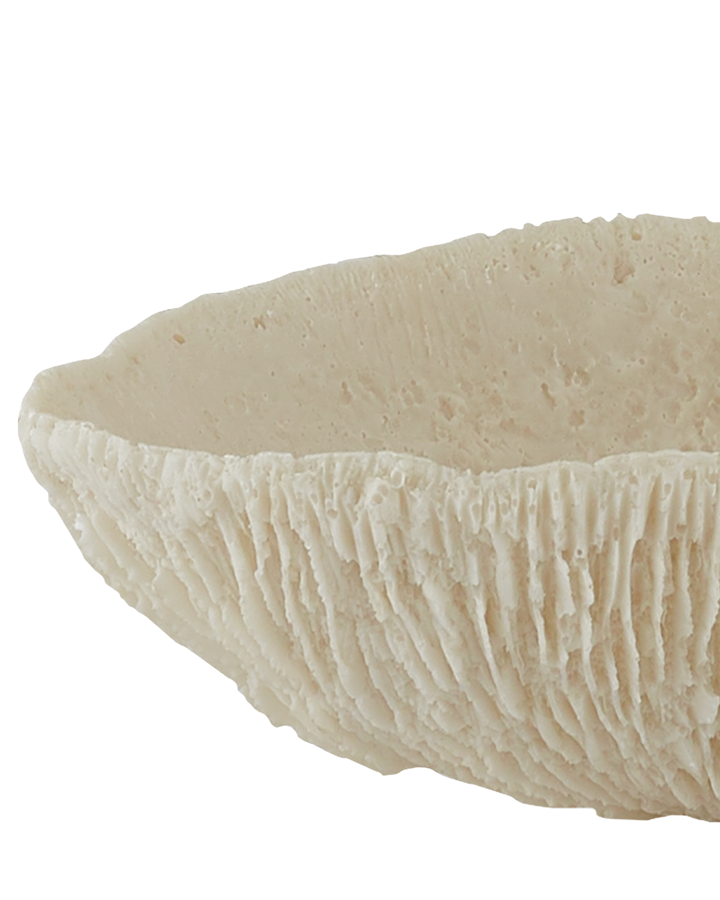 Island Ivory Tray Set of 2.