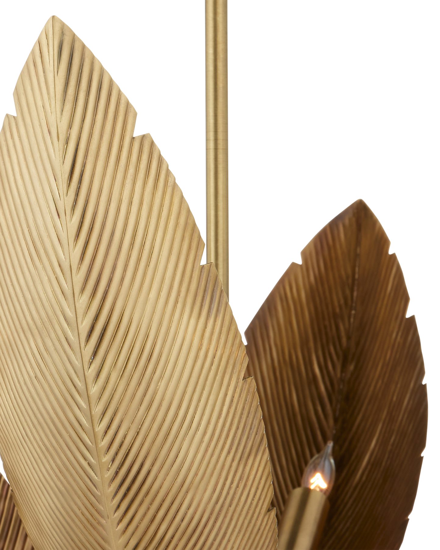 Bird of Paradise Brass Chandelier.