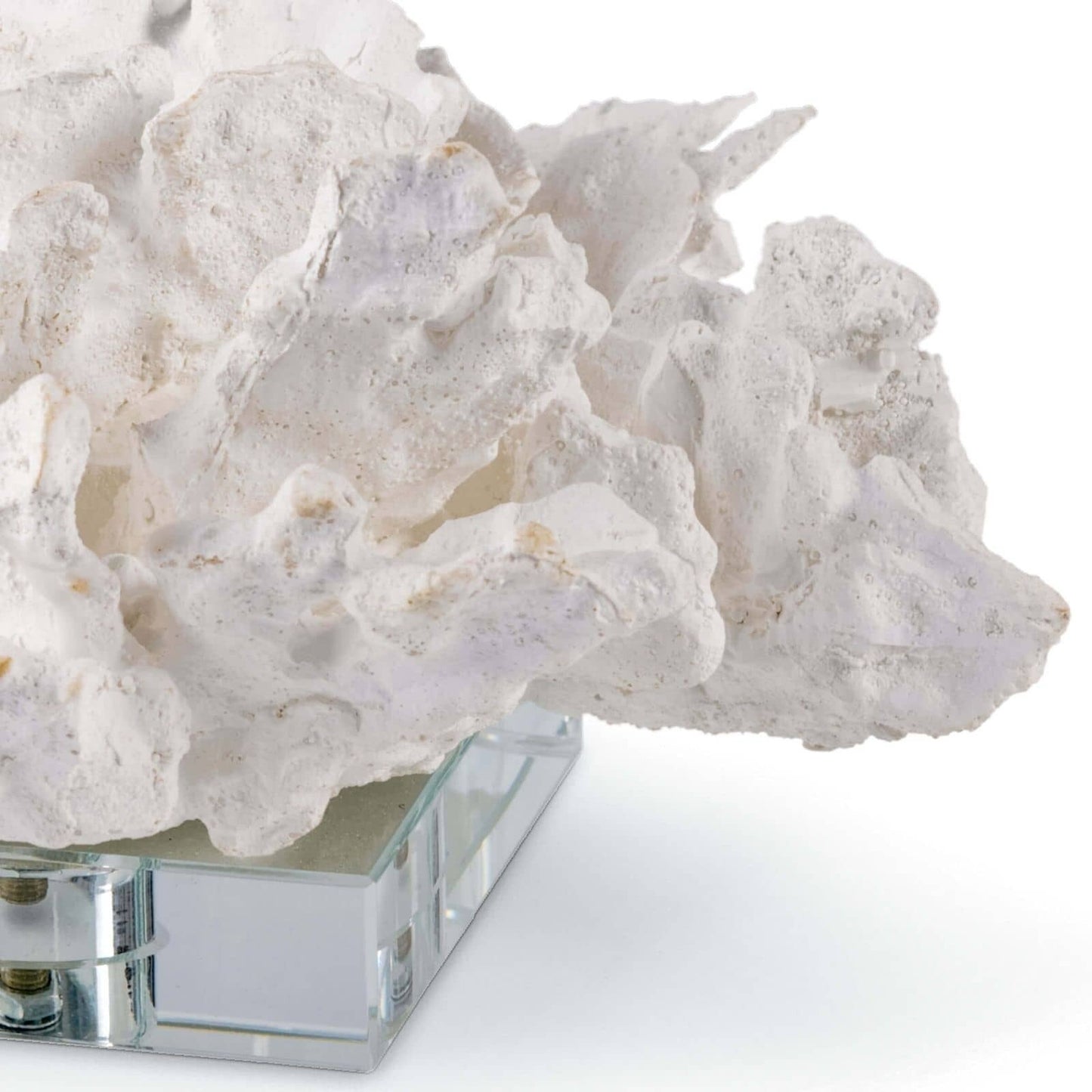 Flower Coral On Crystal Base (White).