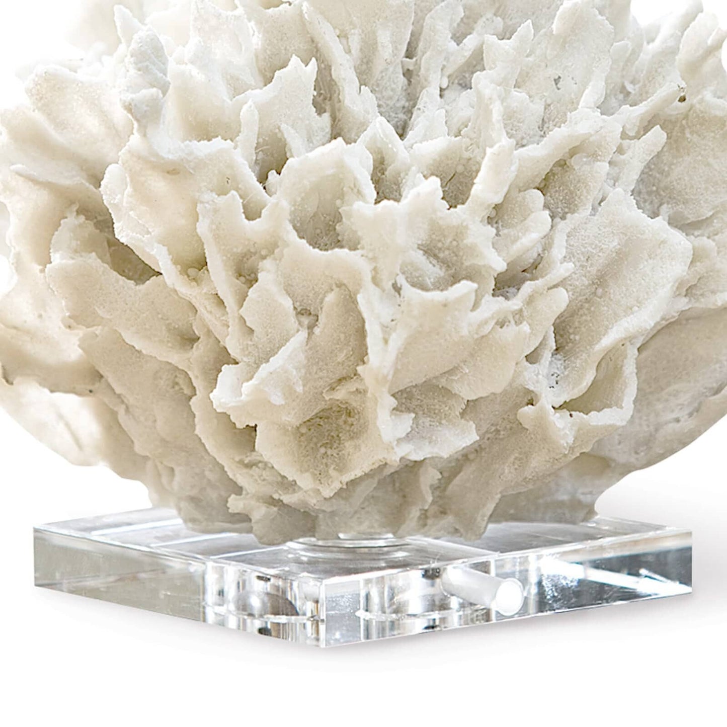 Ribbon Coral (White).