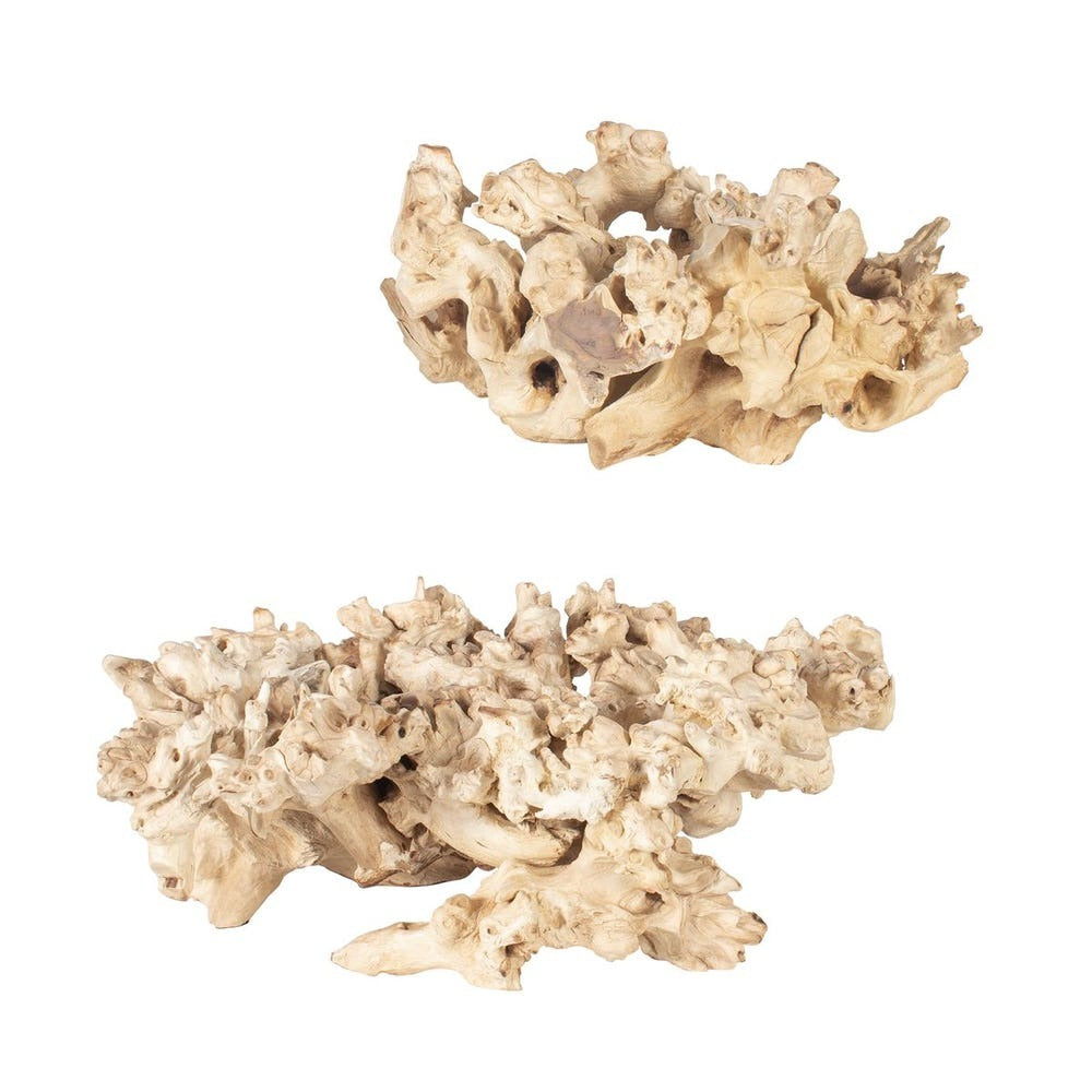 Elemental Root Outdoor Sculptures - Set of 2.