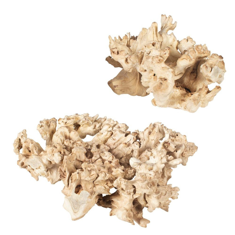 Elemental Root Outdoor Sculptures - Set of 2.