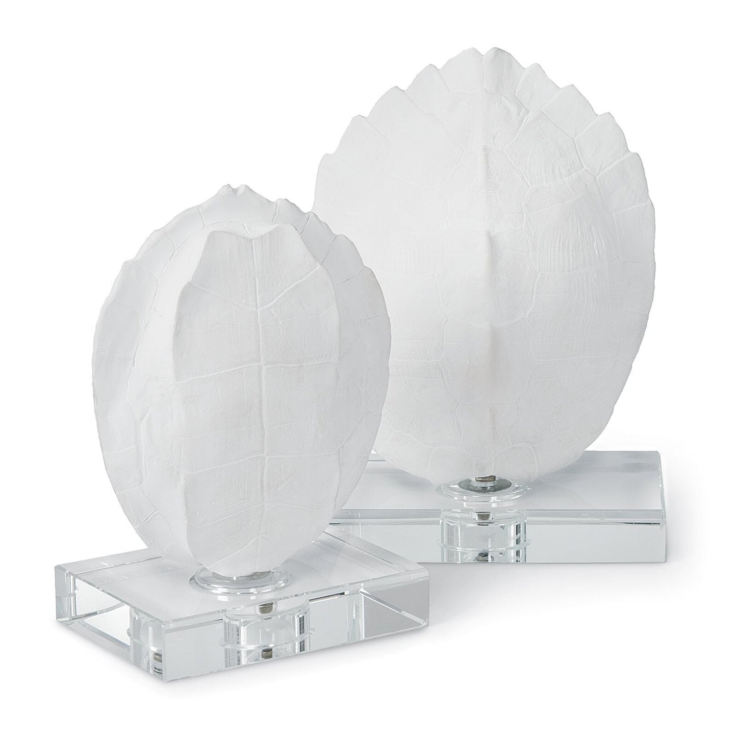 Turtle Shells On Crystal (Set of 2).