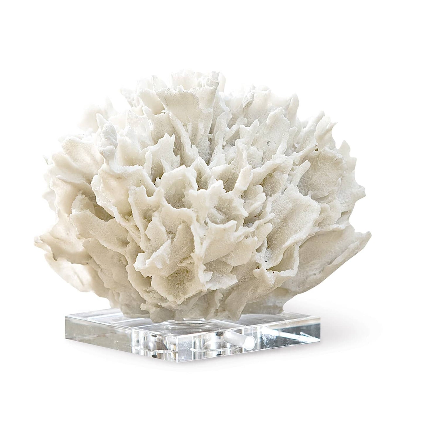 Ribbon Coral (White).