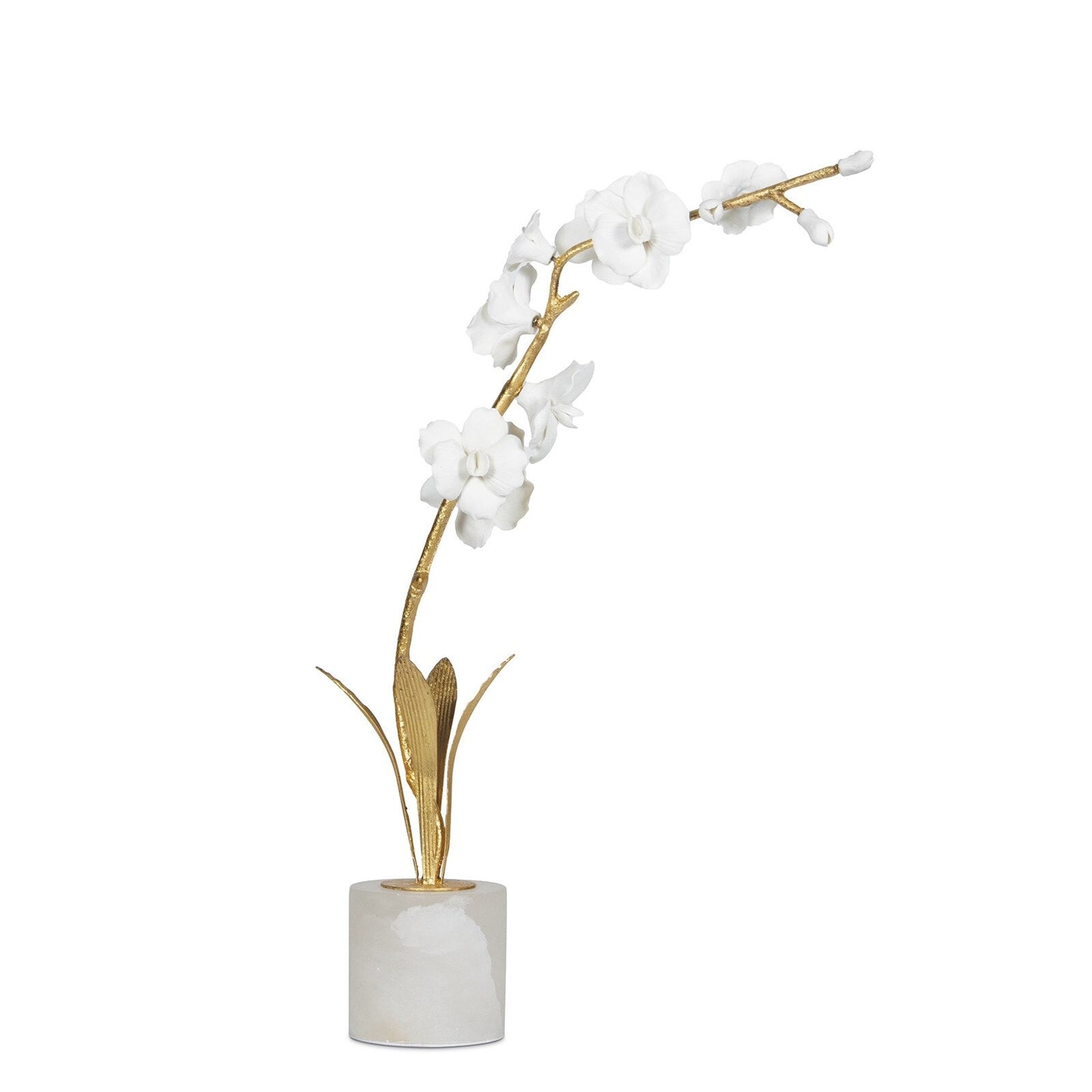 Thylane Accessory (Curved).