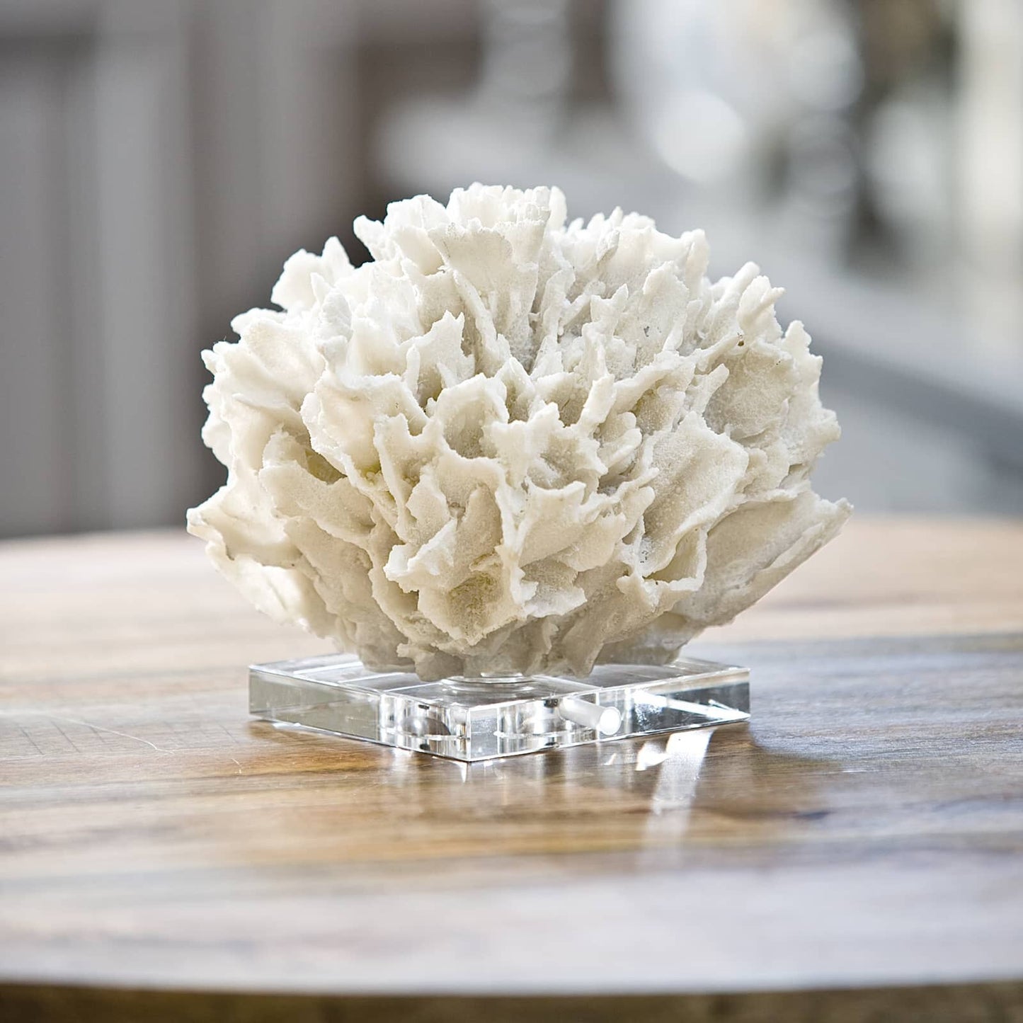 Ribbon Coral (White).