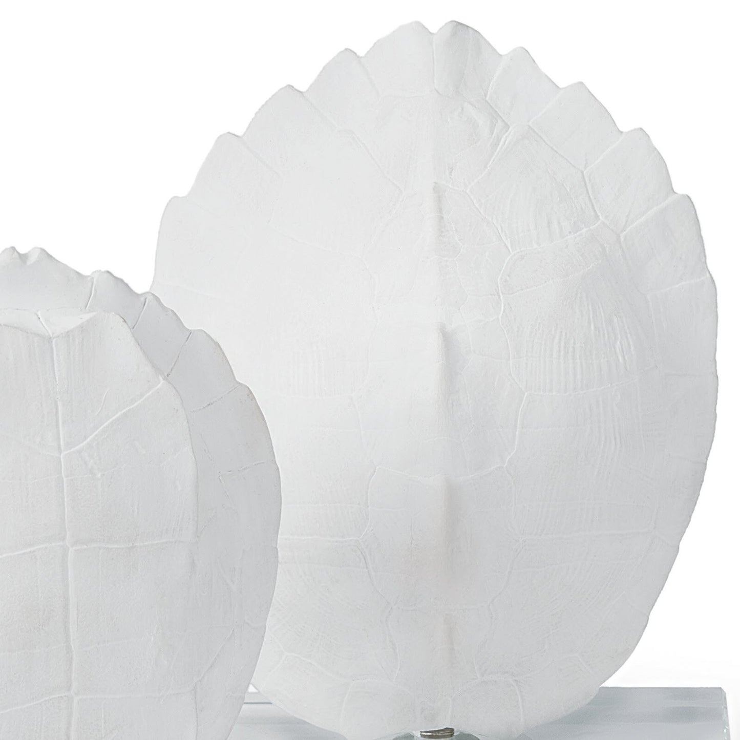 Turtle Shells On Crystal (Set of 2).