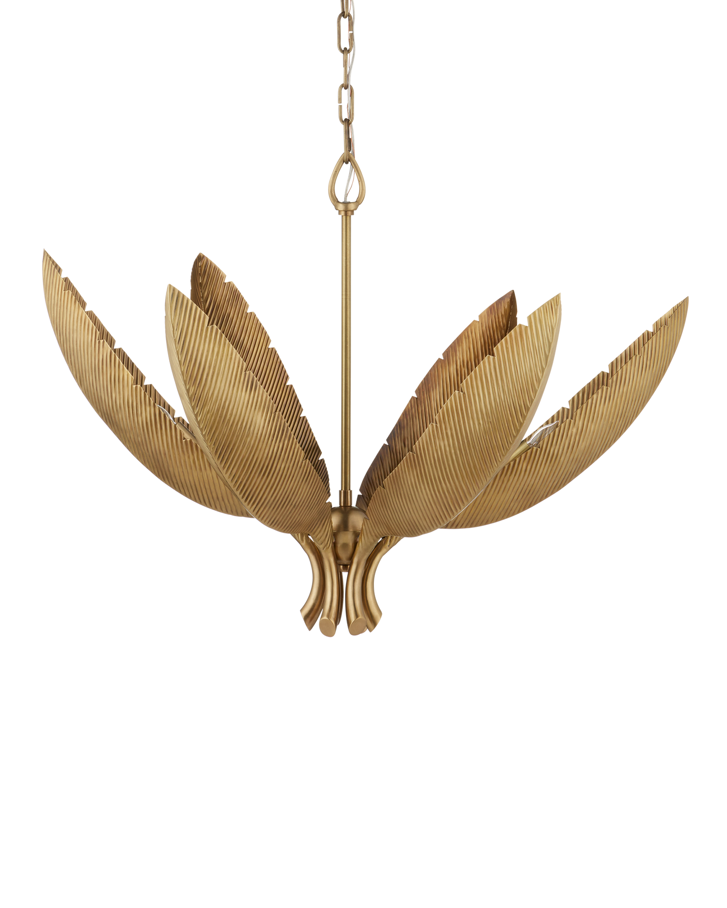 Bird of Paradise Brass Chandelier.