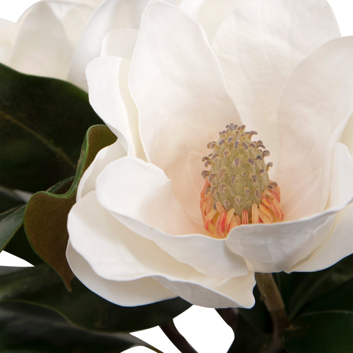 Middleton Magnolia Flower Centerpiece.