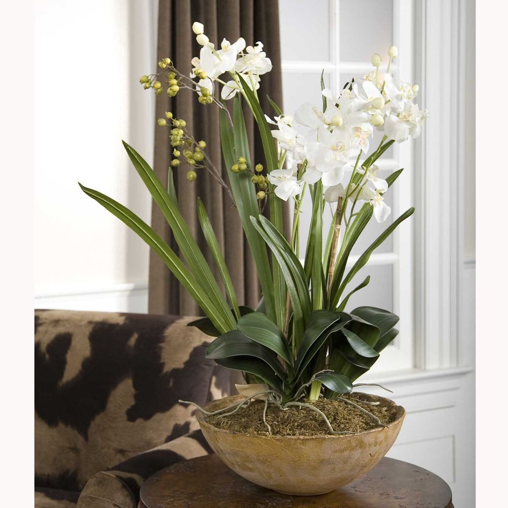 Moth Orchid Planter.