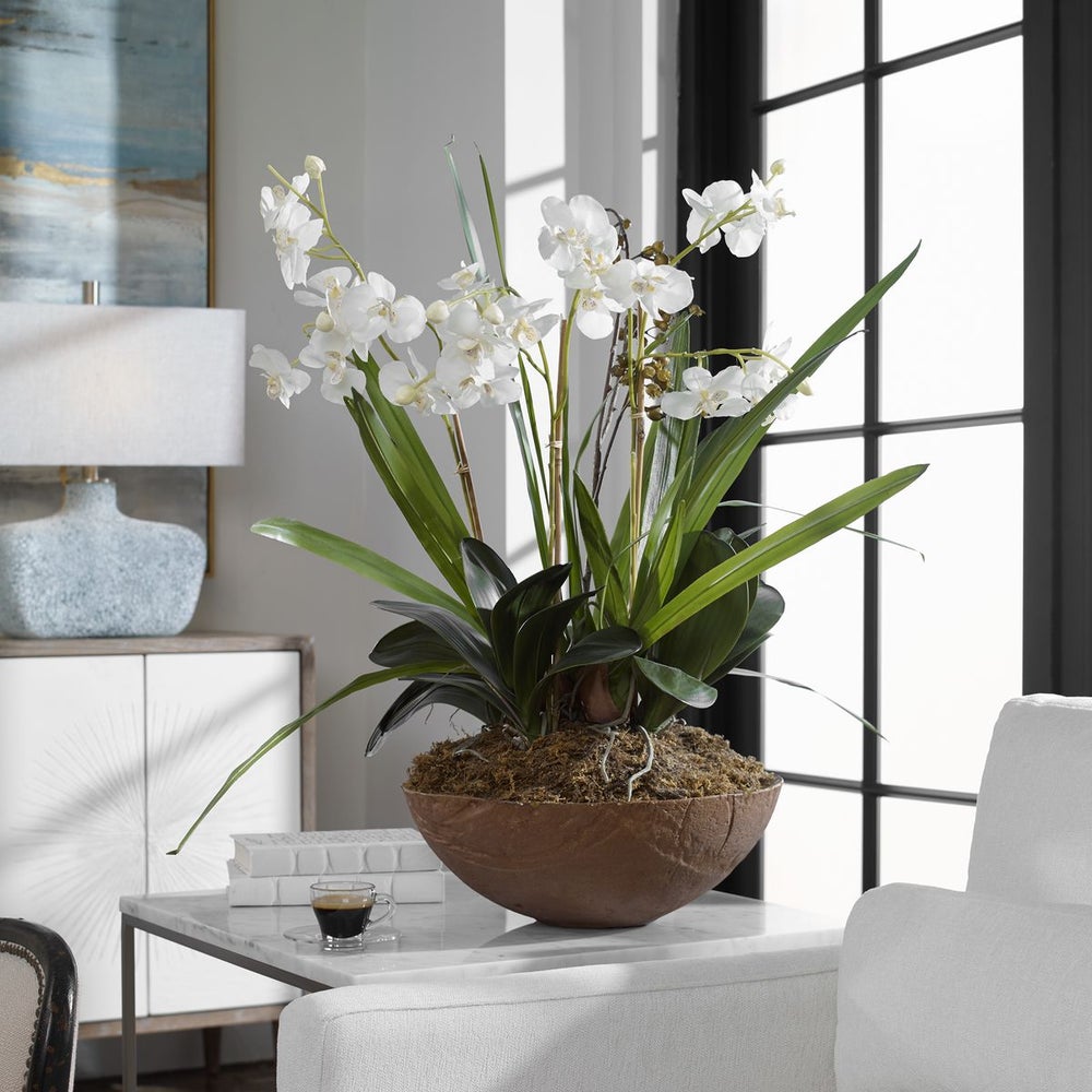 Moth Orchid Planter.