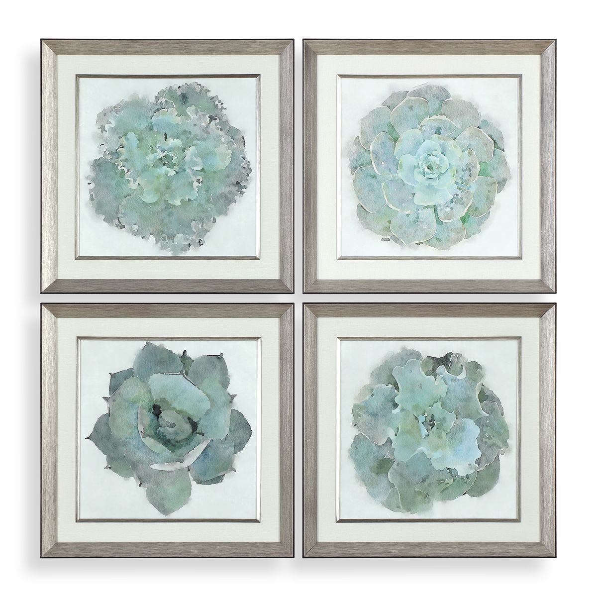 Natural Beauties Framed Prints (Set of 4).
