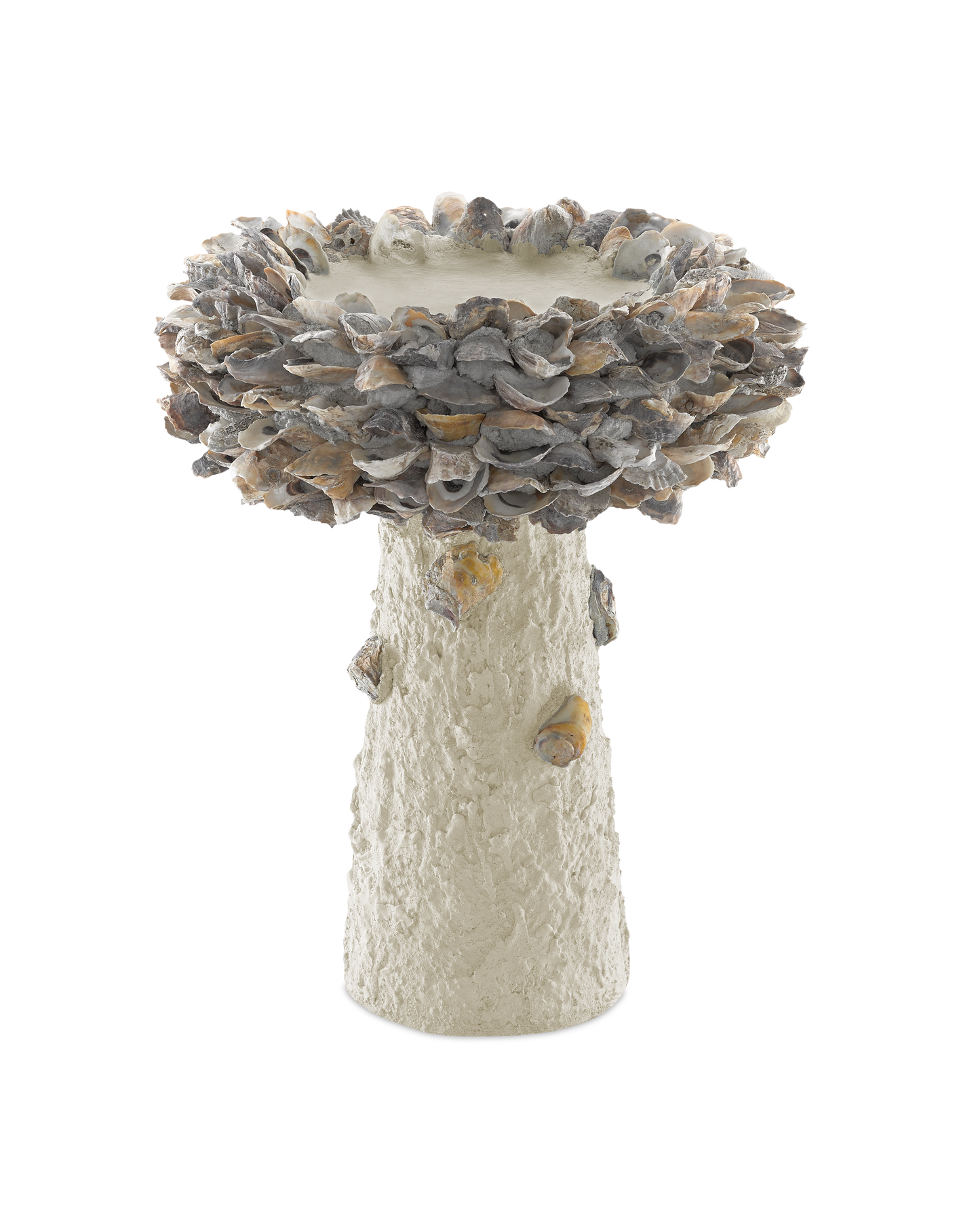Oyster Shell Medium Bird Bath.
