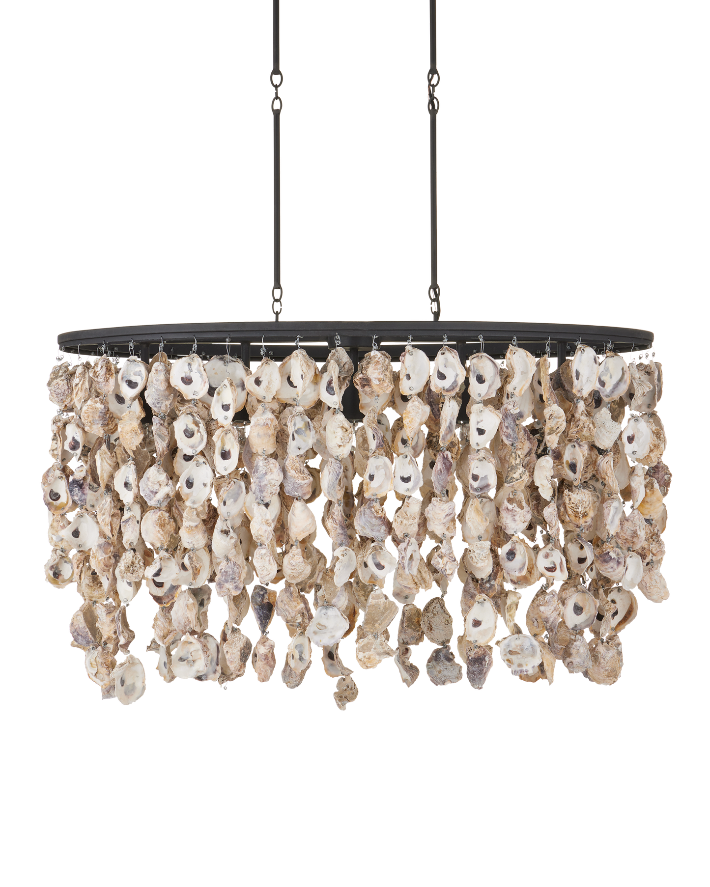 Stillwater Oyster Shell Oval Chandelier.