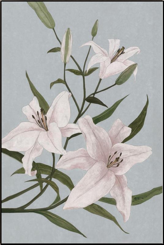 Secrets of the Blossoms X.