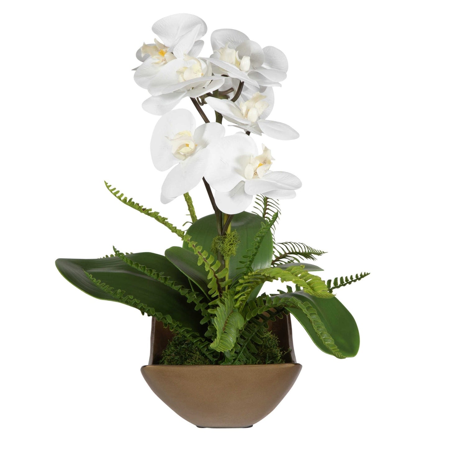 Transcend Orchid.