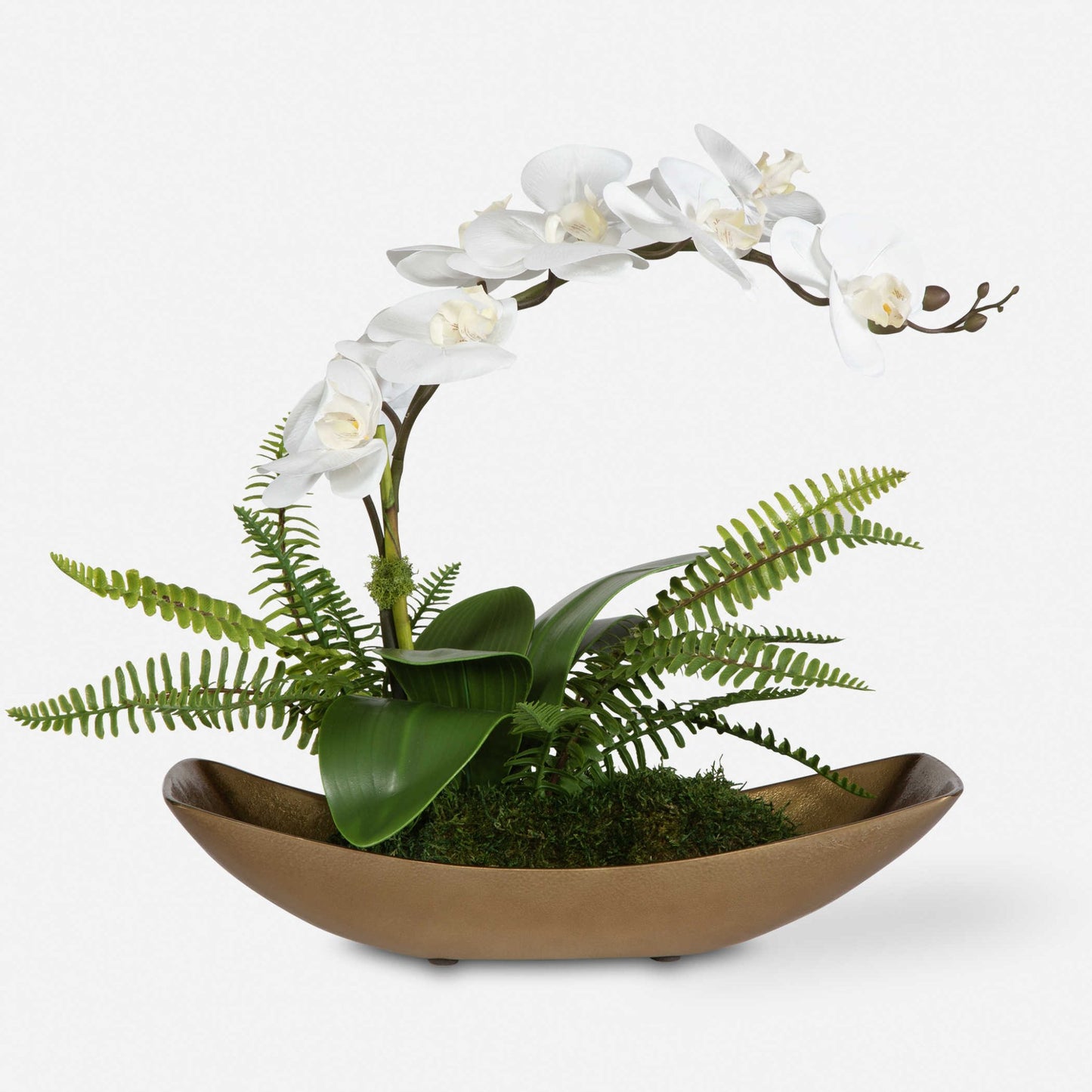 Transcend Orchid.