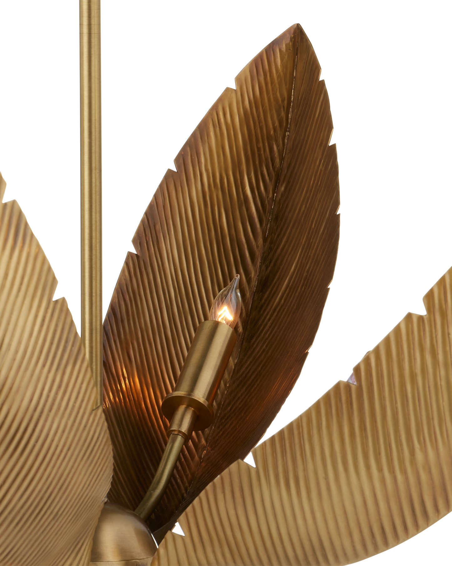 Bird of Paradise Brass Chandelier.