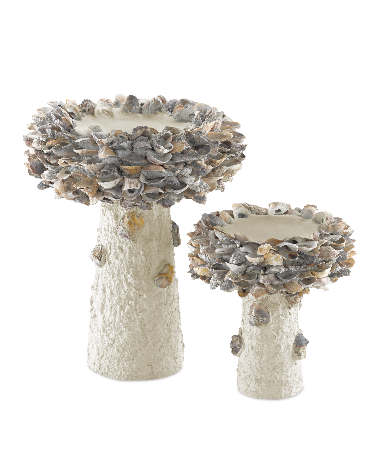Oyster Shell Medium Bird Bath.