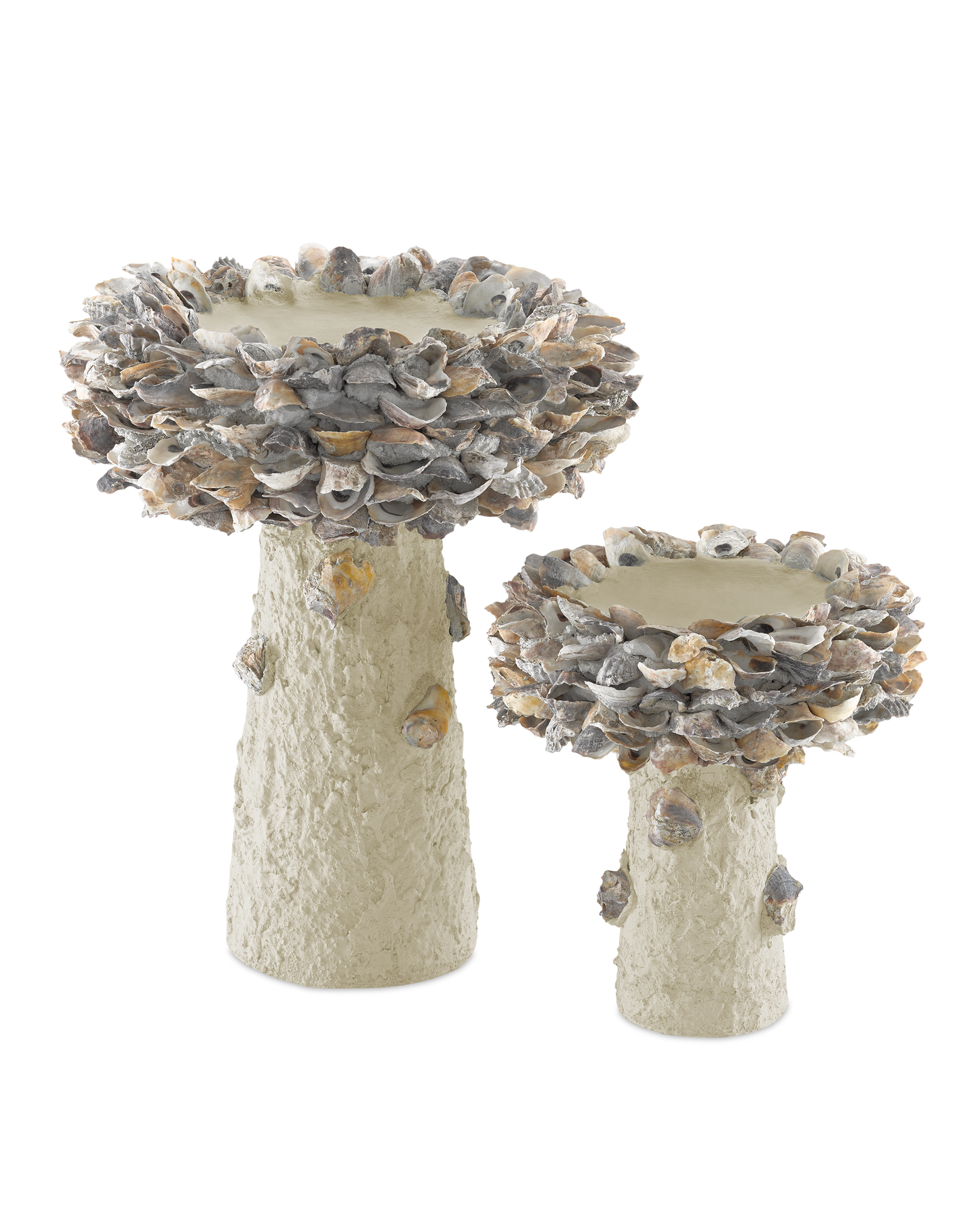 Oyster Shell Small Bird Bath.