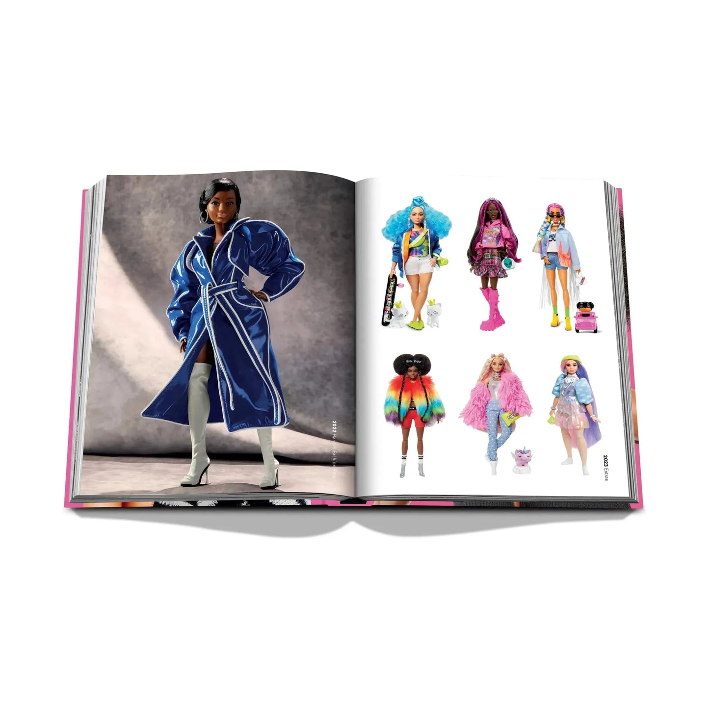 Barbie Coffee Table Book.