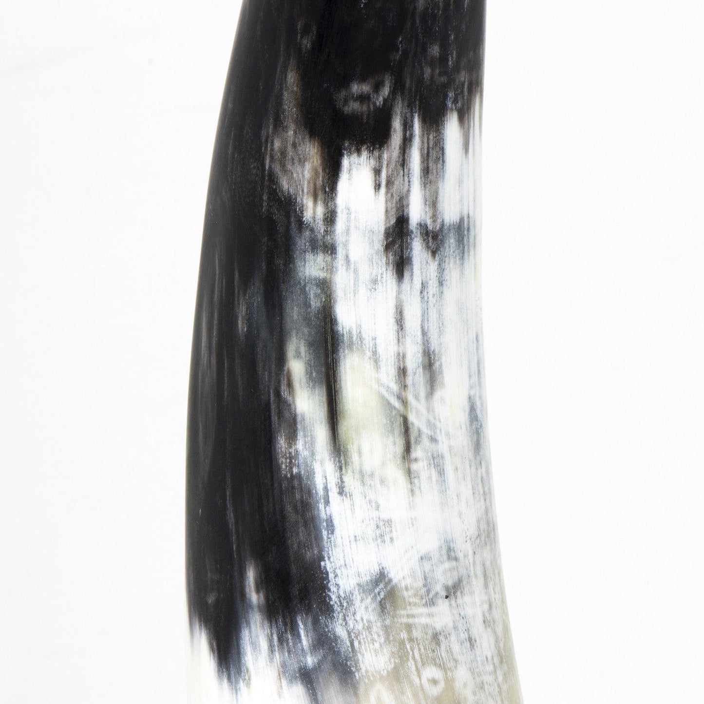 Daylon Horn Sculpture.